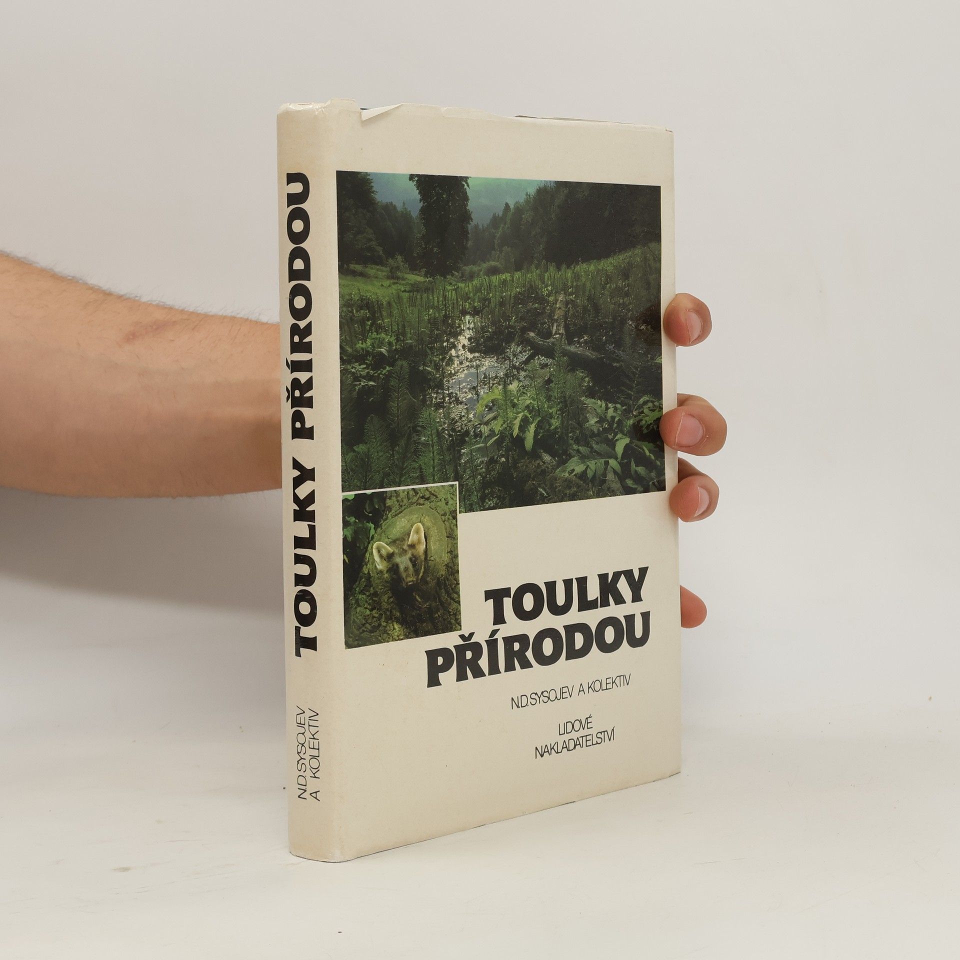 N. D. Sysojev Toulky přírodou