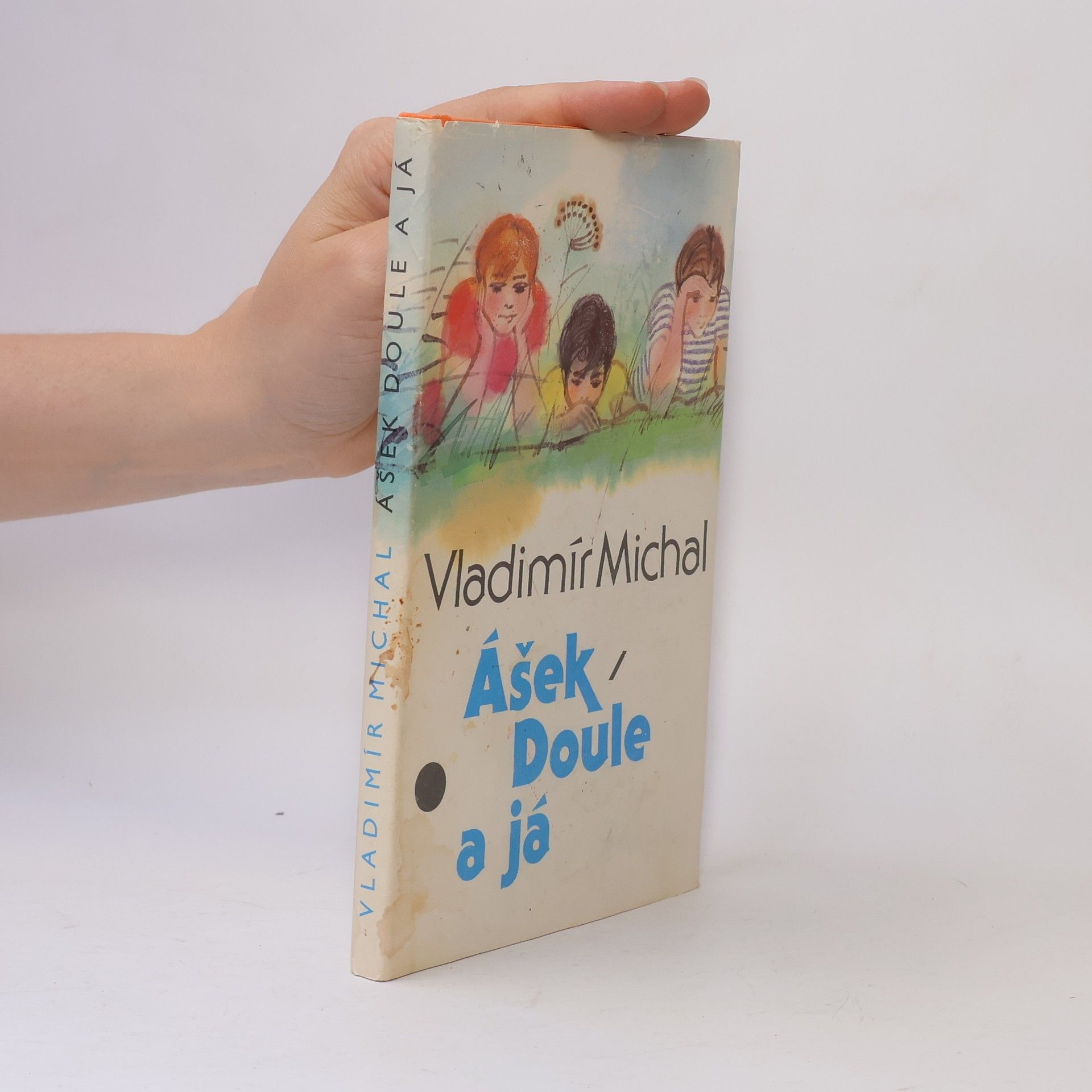 Vladimír Michal Ášek, Doule a já
