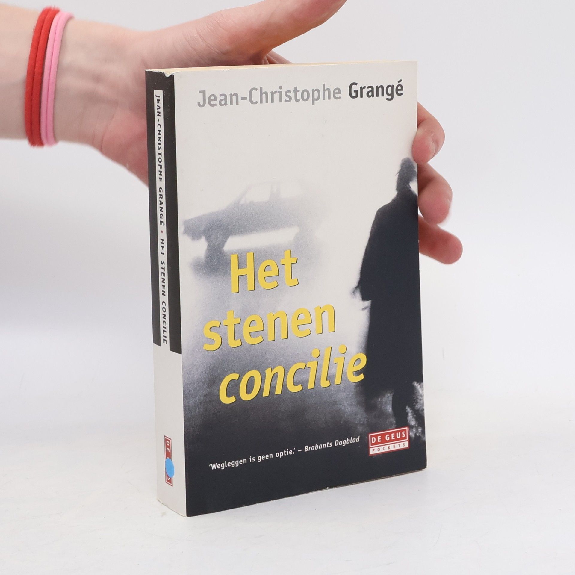 Théo Buckinx Het stenen concilie