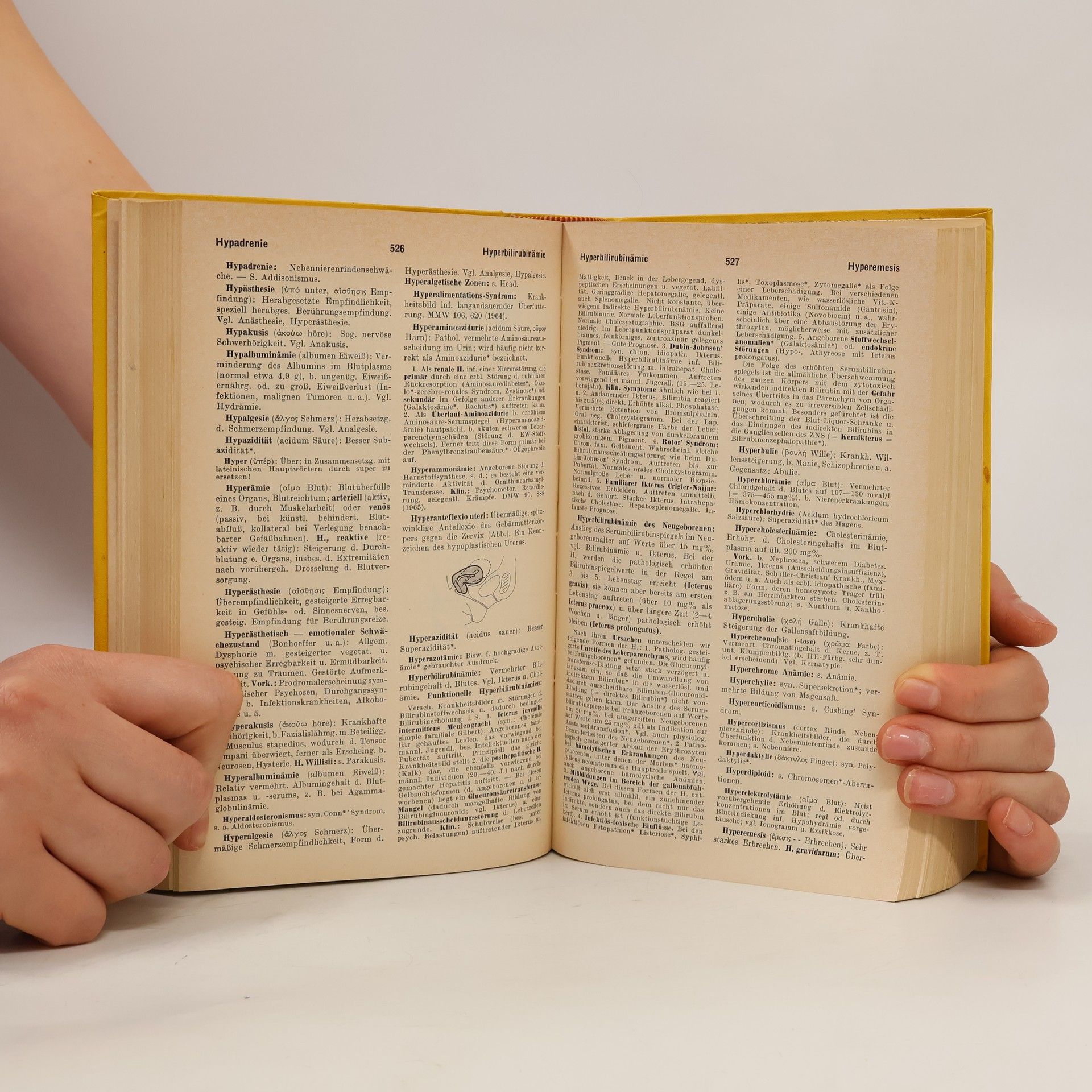Willibald Pschyrembel Klinisches Wörterbuch mit klinischen Syndromen