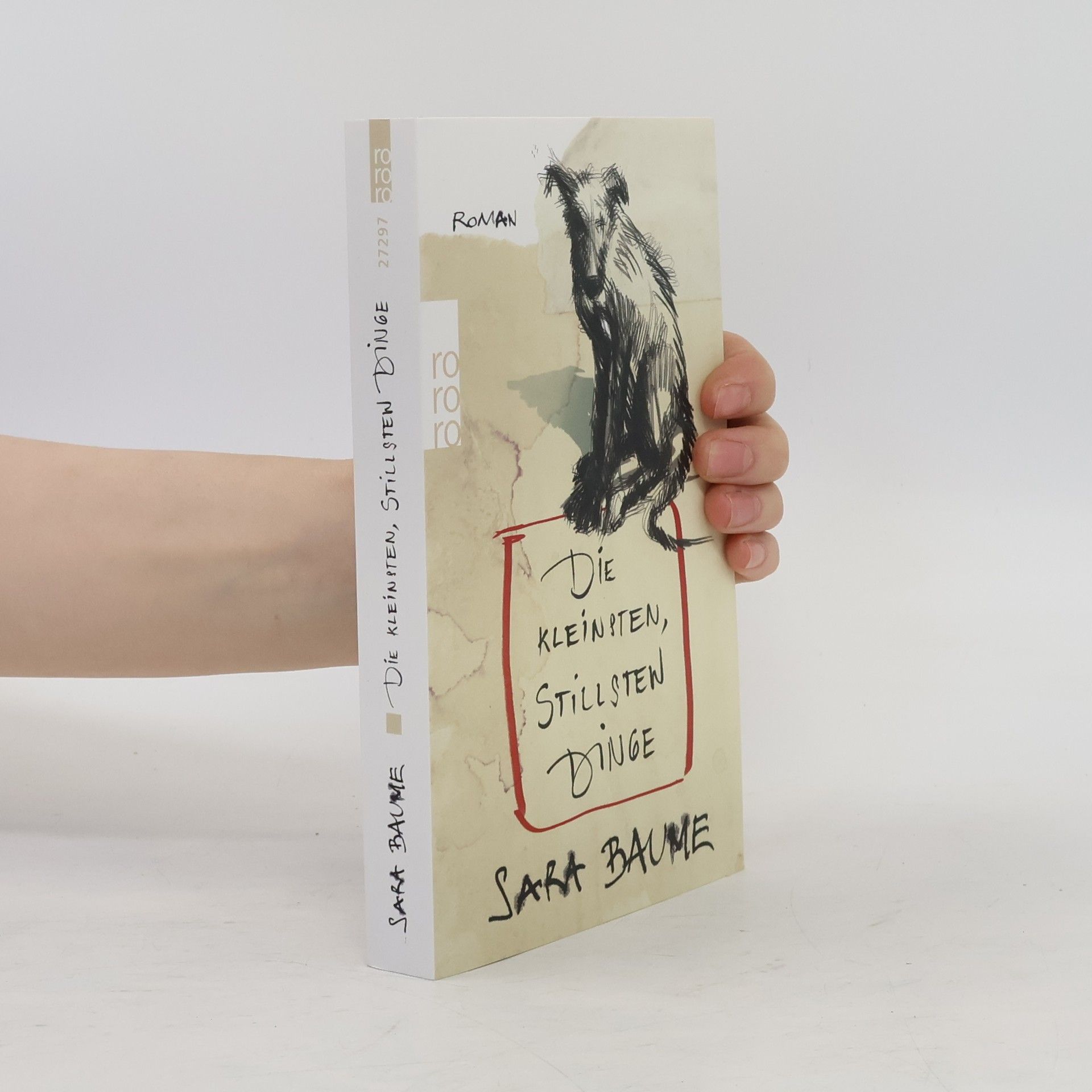 Sara Baume Die kleinsten, stillsten Dinge
