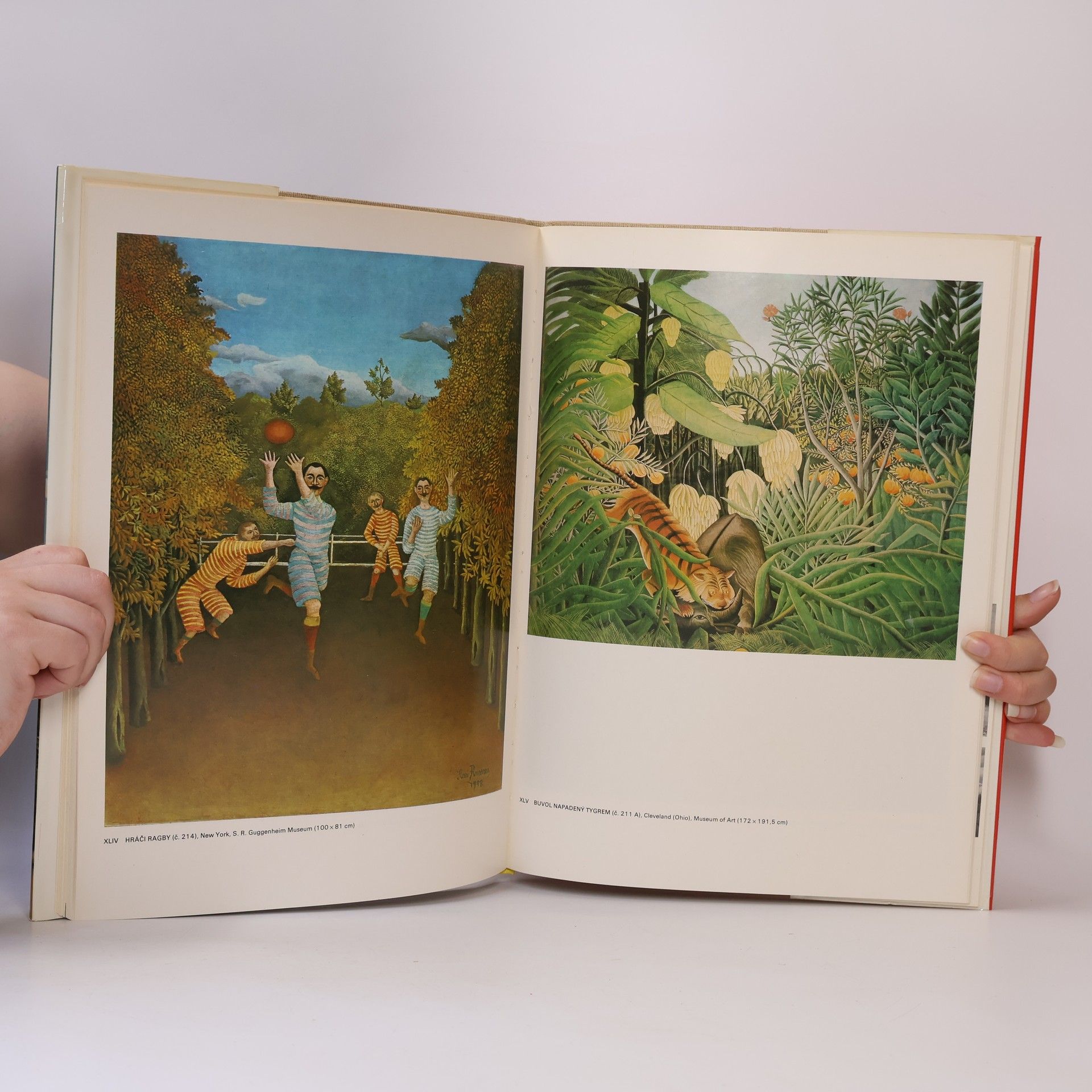 Giovanni Artieri Henri Rousseau