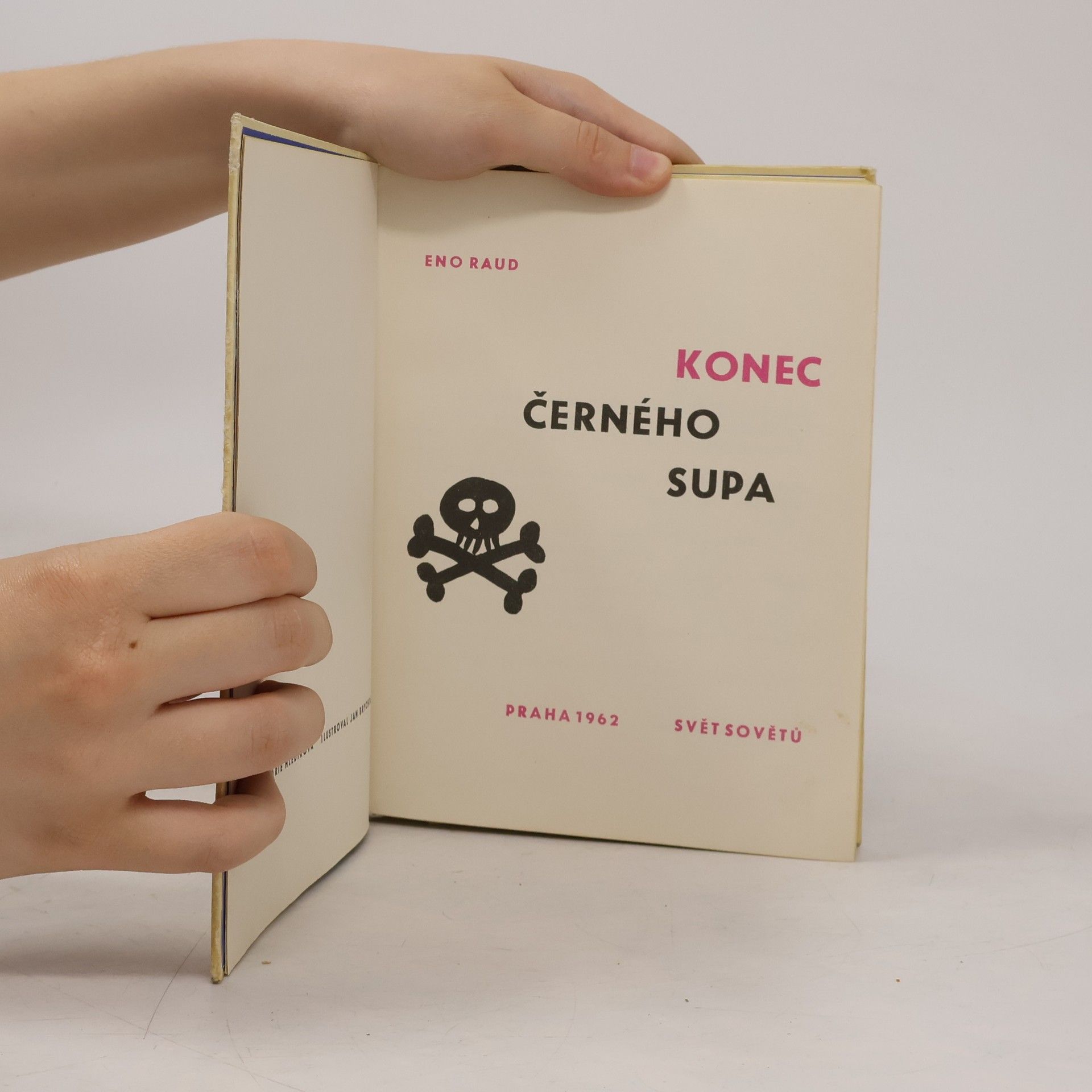 Eno Raud Konec Černého supa