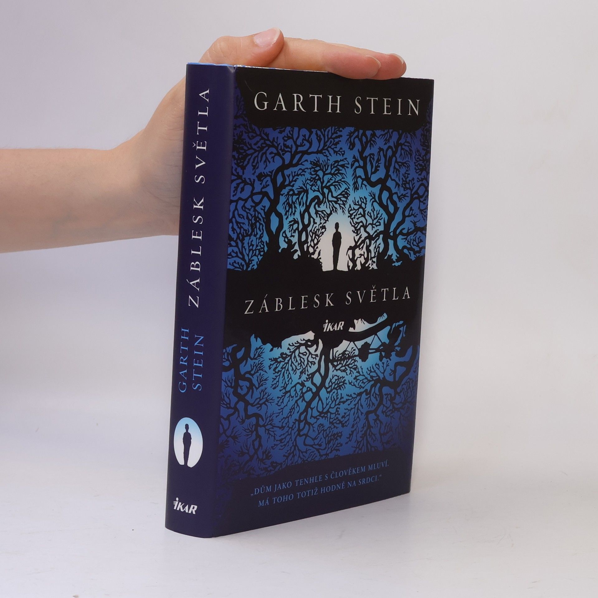 Garth Stein Záblesk světla