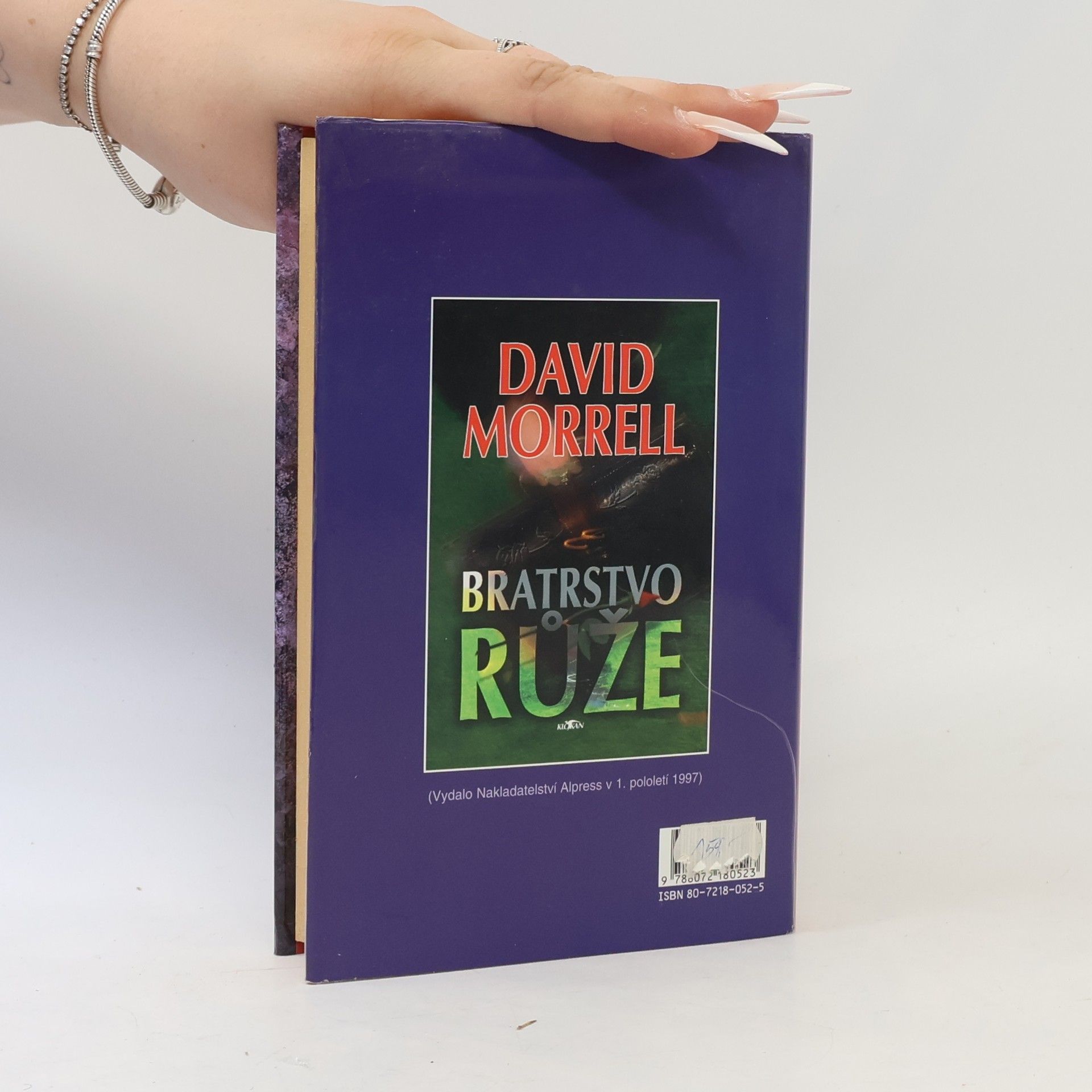 David Morrell Bratrstvo kamene