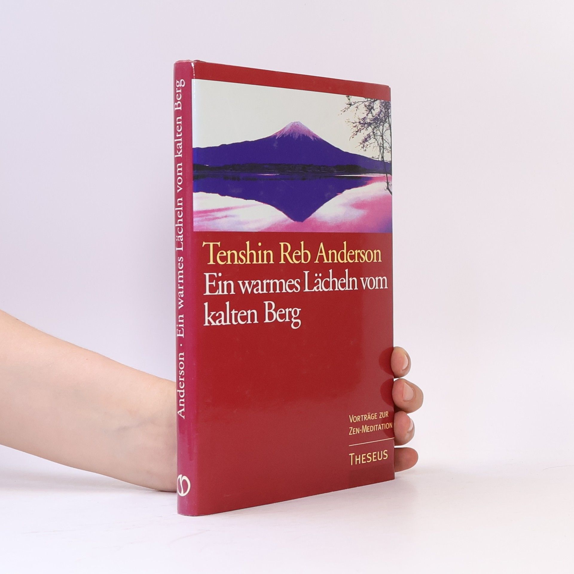 Reb Anderson Ein warmes Lächeln vom kalten Berg