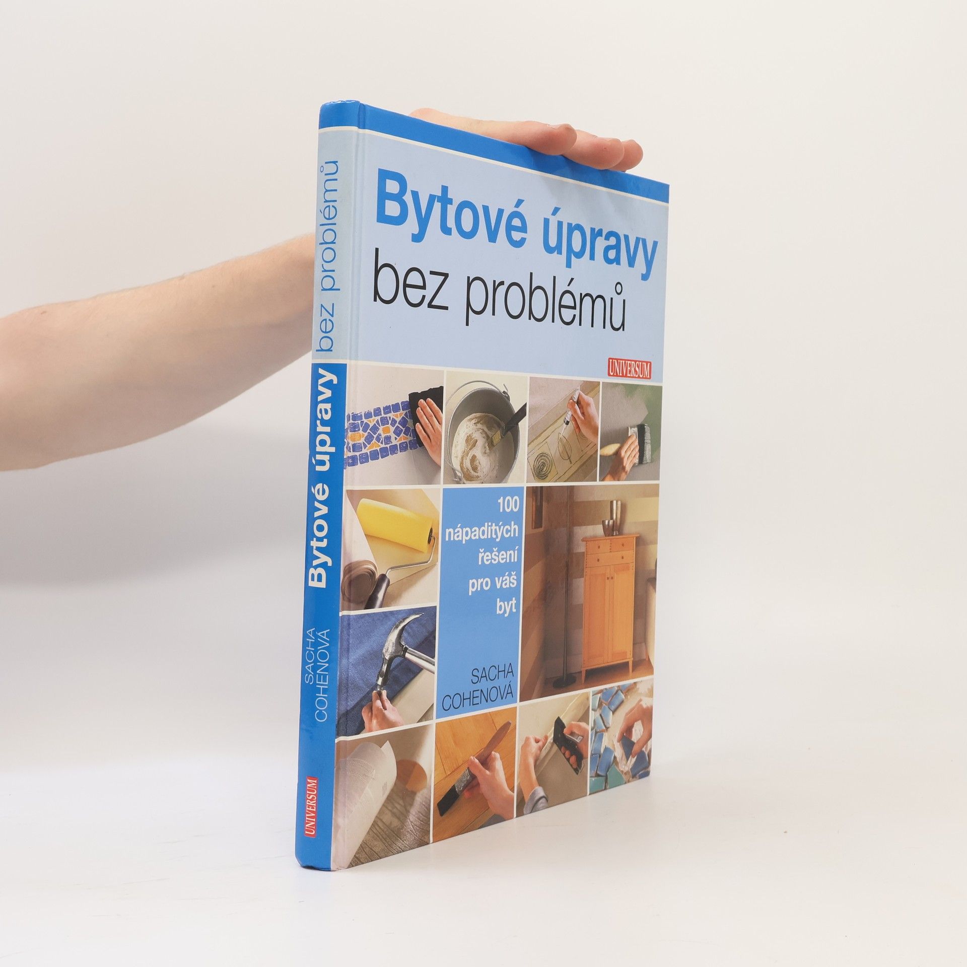 Sacha Cohen Bytové úpravy bez problémů. 100 nápaditých řešení pro váš byt