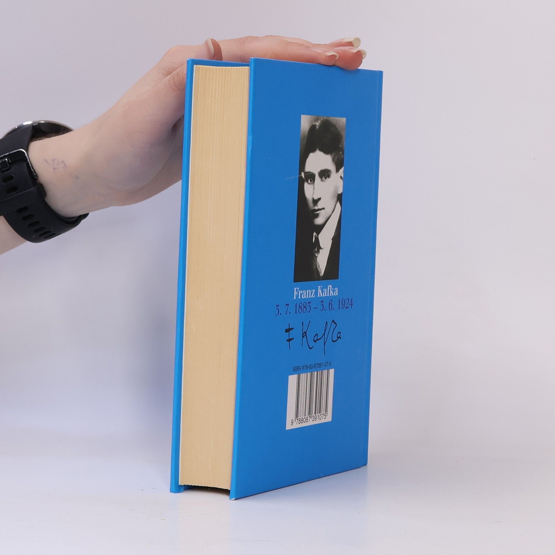 Franz Kafka Zámek