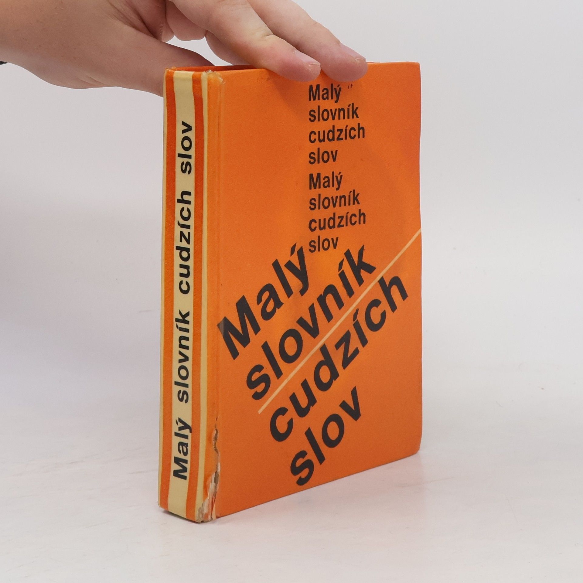 Mária Ivanová Šalingová Malý slovník cudzích slov