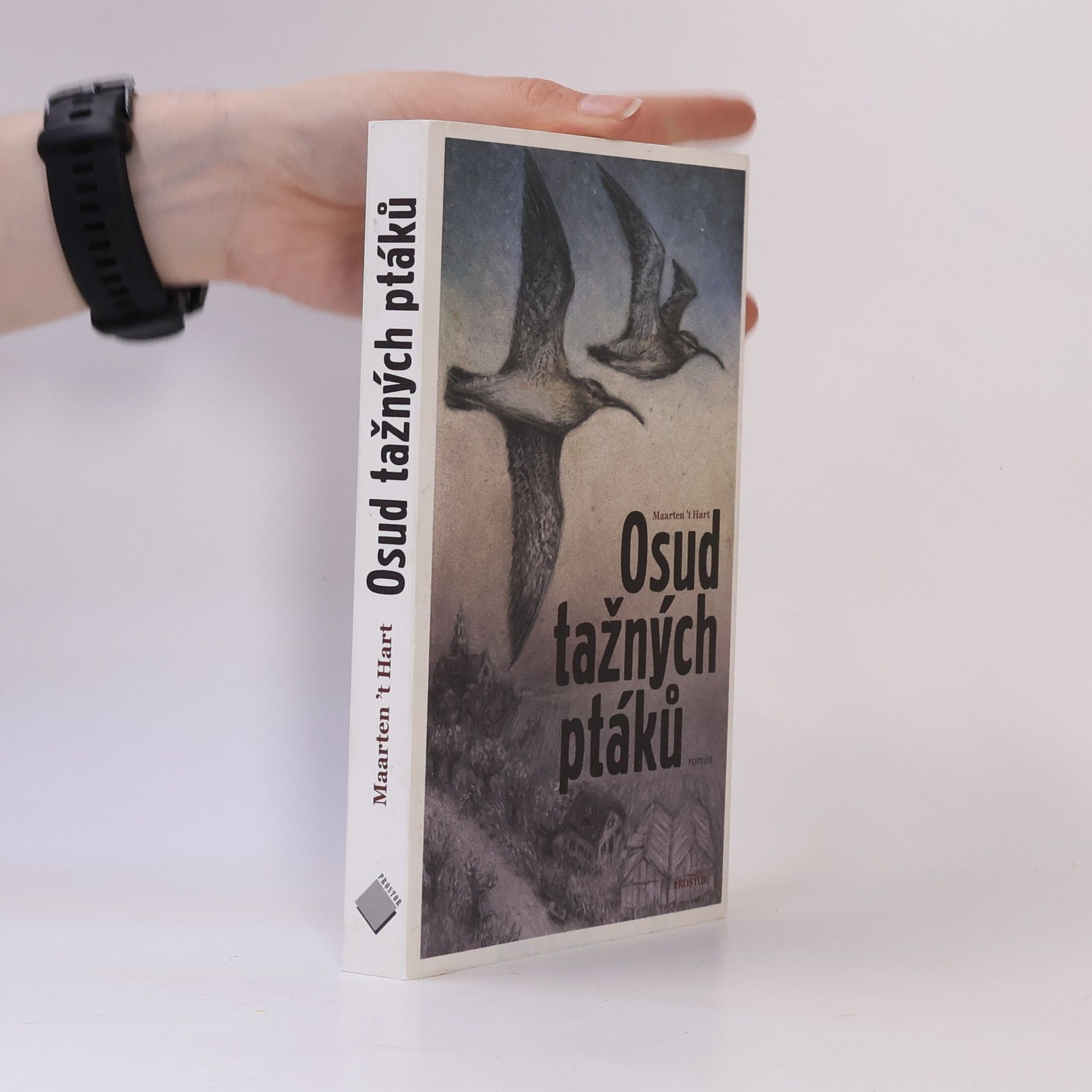 Maarten t. Hart Osud tažných ptáků