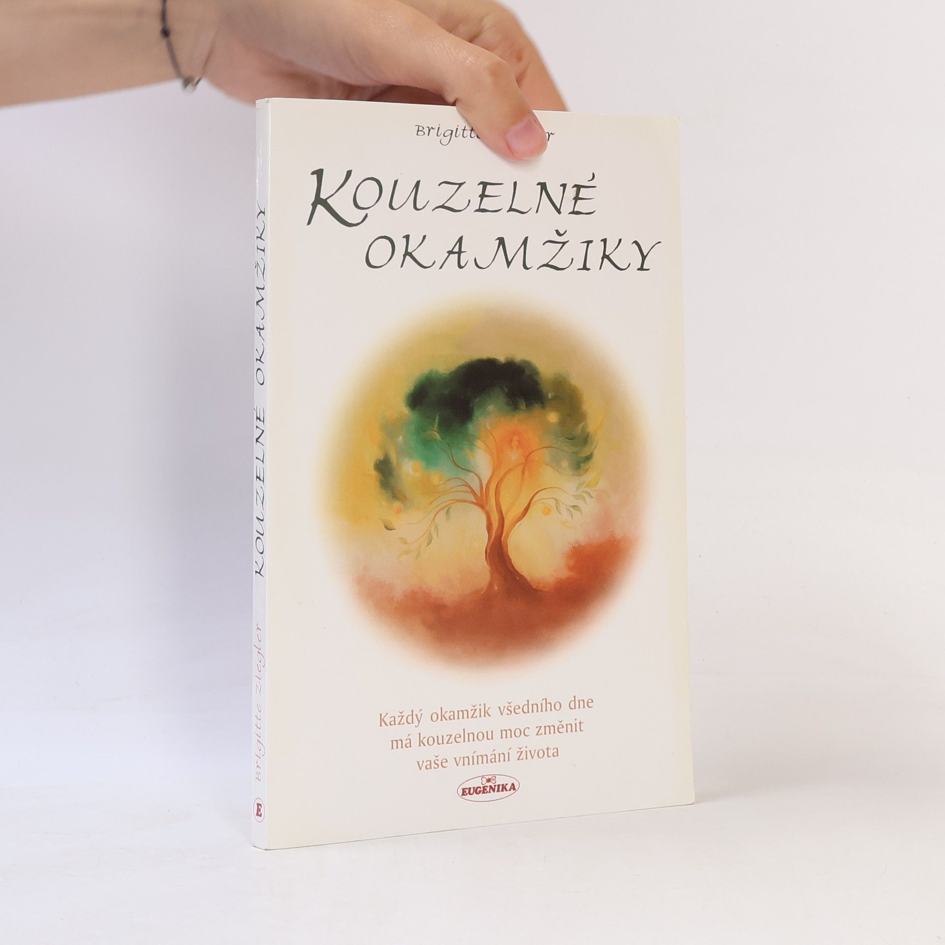 Brigitte Ziegler Kouzelné okamžiky