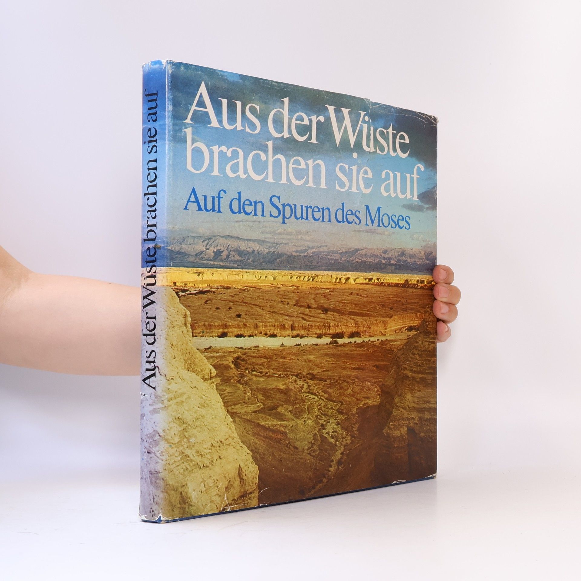 Moshe Pearlman Aus der Wüste brachen sie auf