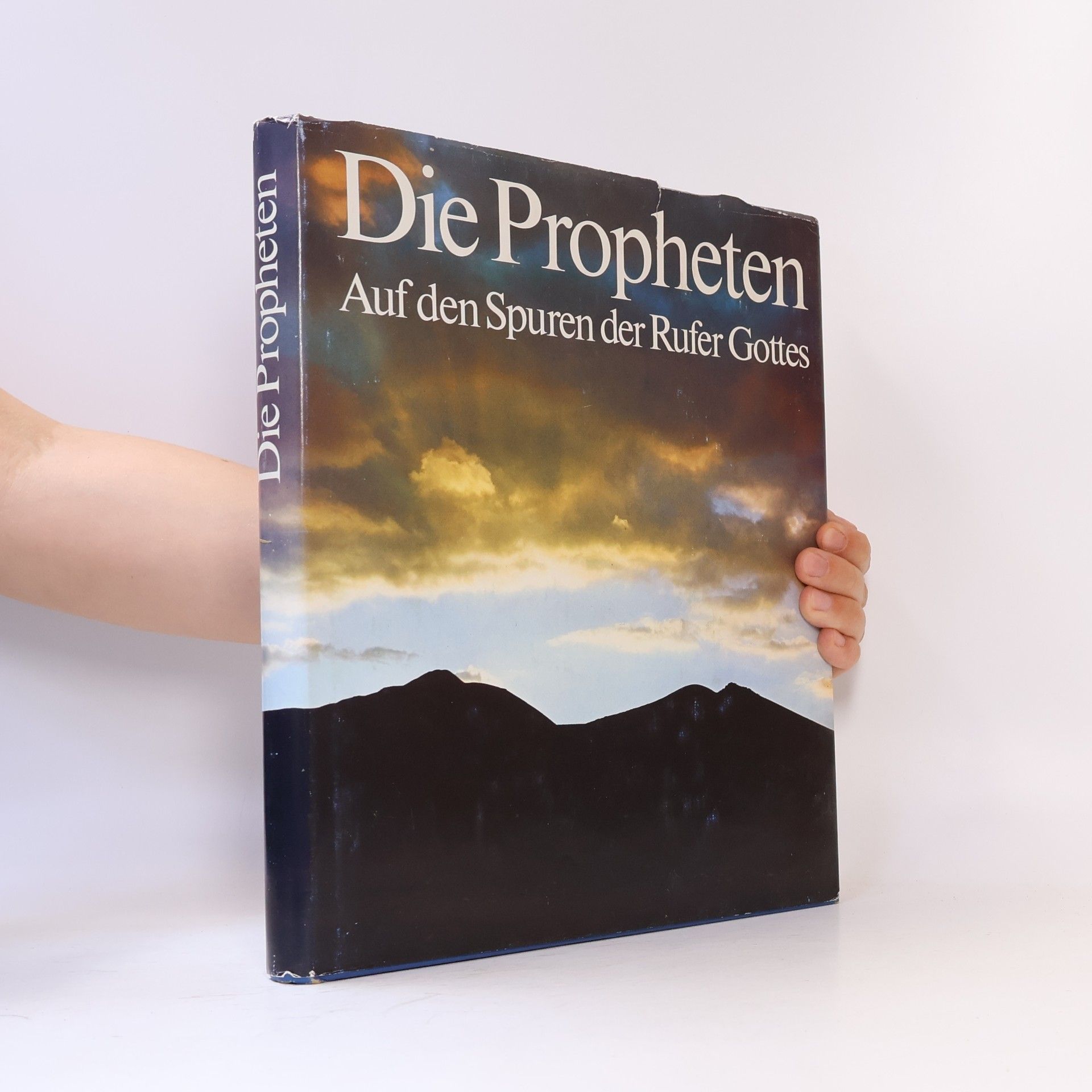 Moshe Pearlman Die Propheten