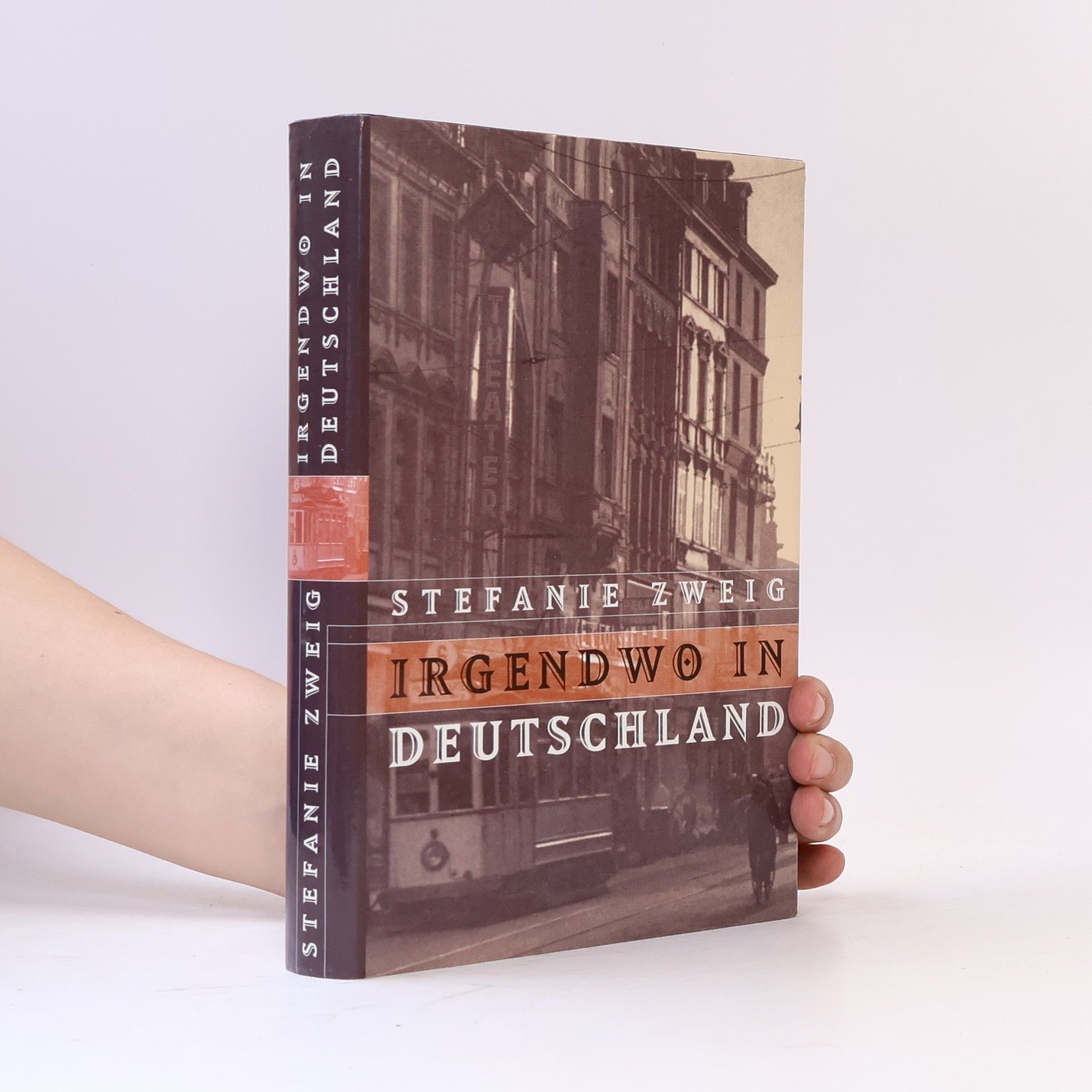 Stefanie Zweig Irgendwo in Deutschland