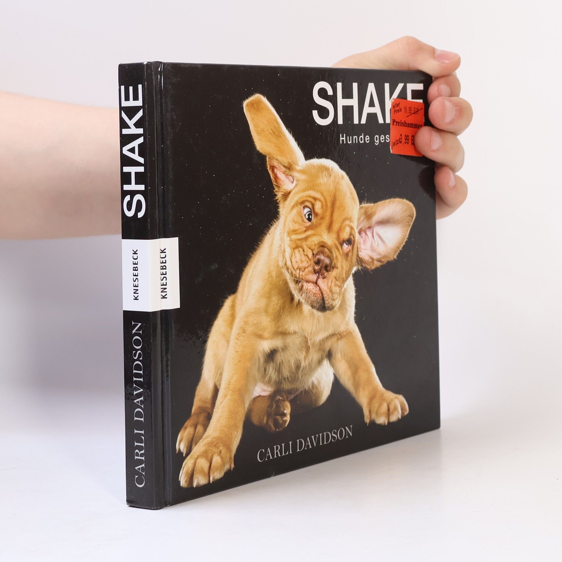 Carli Davidson Shake. Hunde geschüttelt.