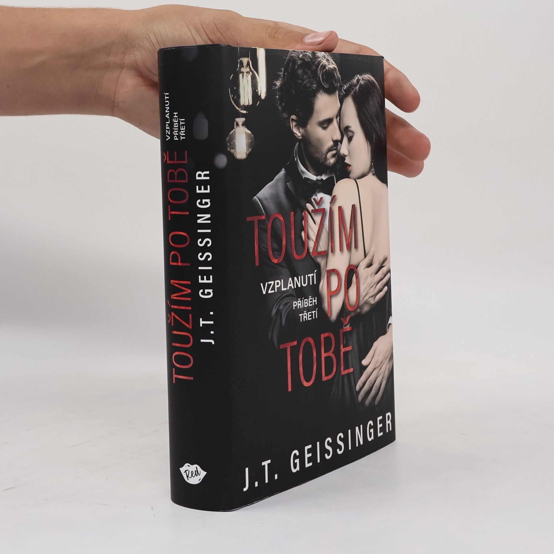 J. T. Geissinger Toužím po tobě