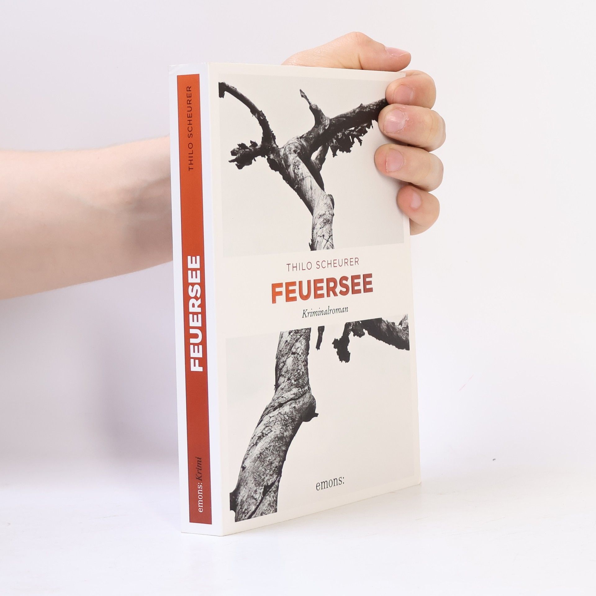 Thilo Scheurer Feuersee