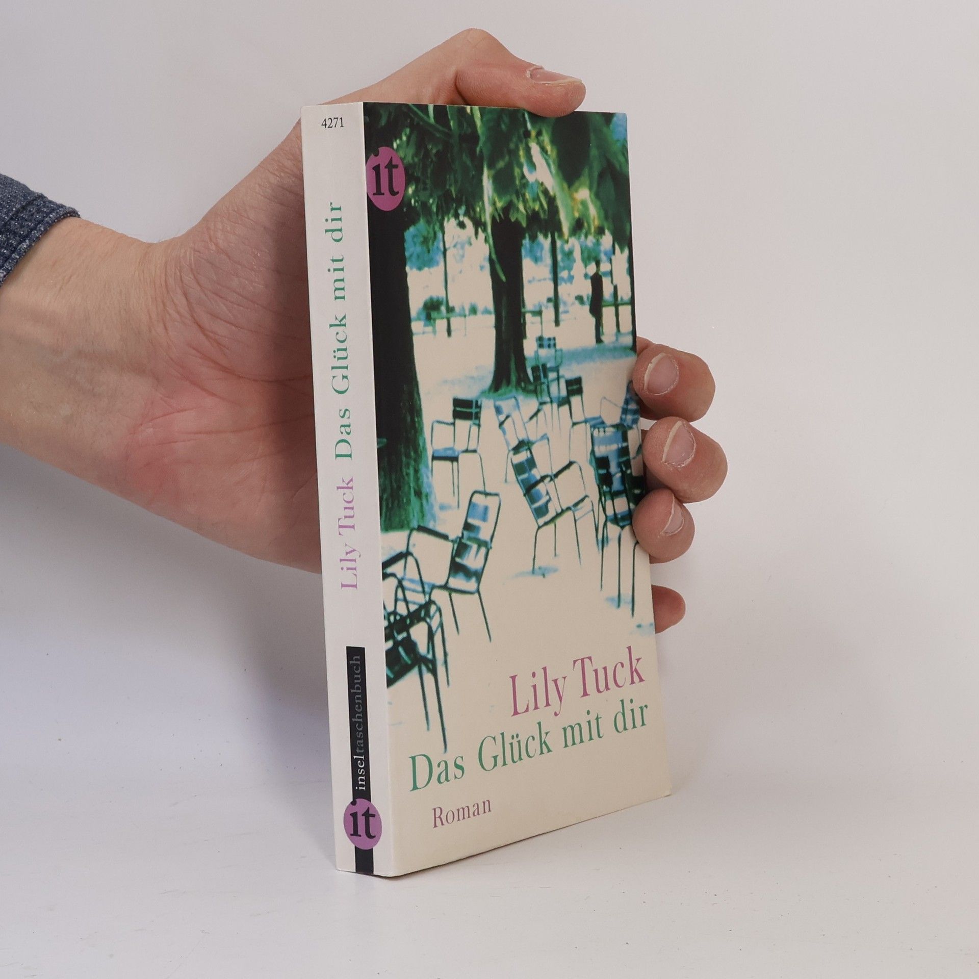 Lily Tuck Inseltaschenbuch: Das Glück mit dir