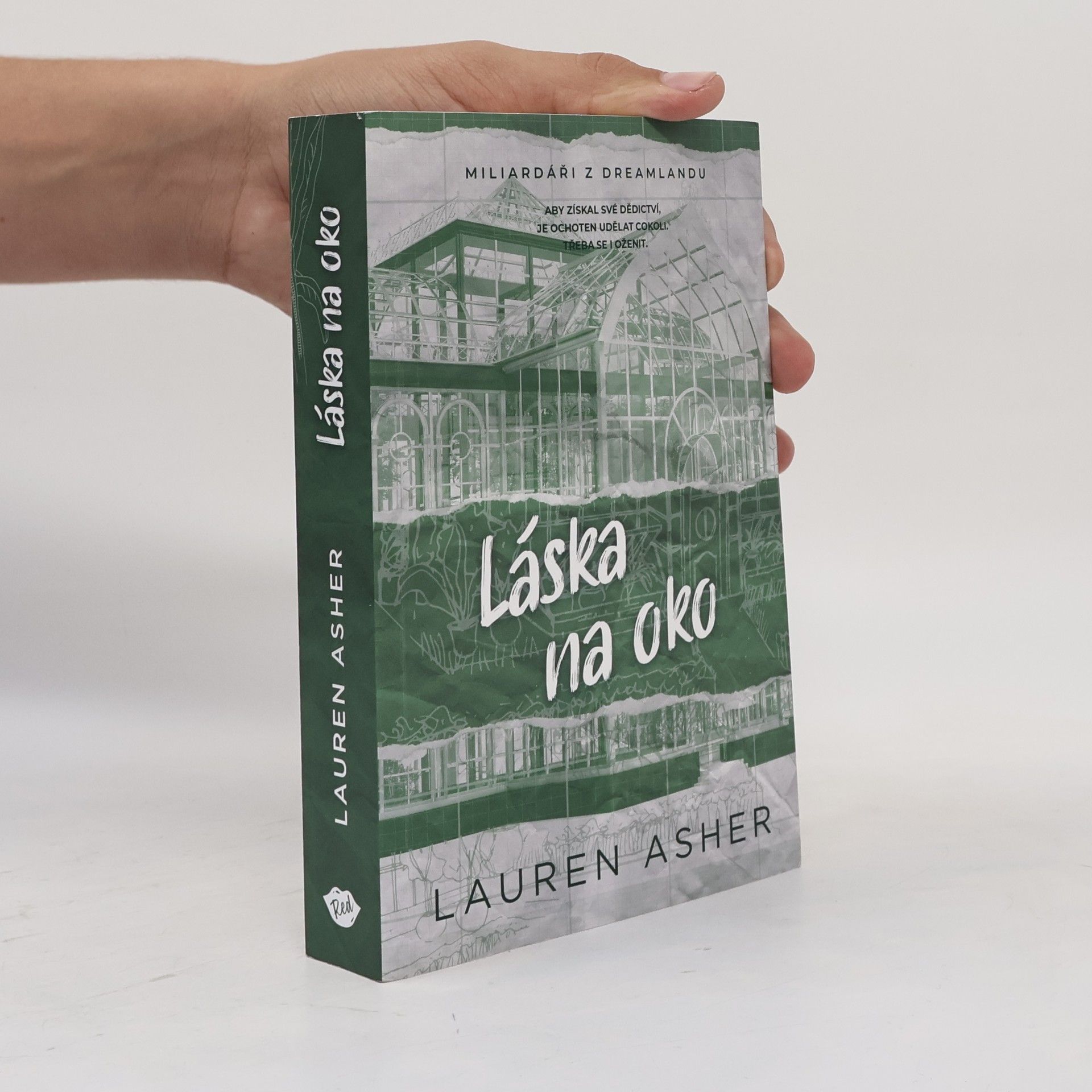 Lauren Asher Láska na oko