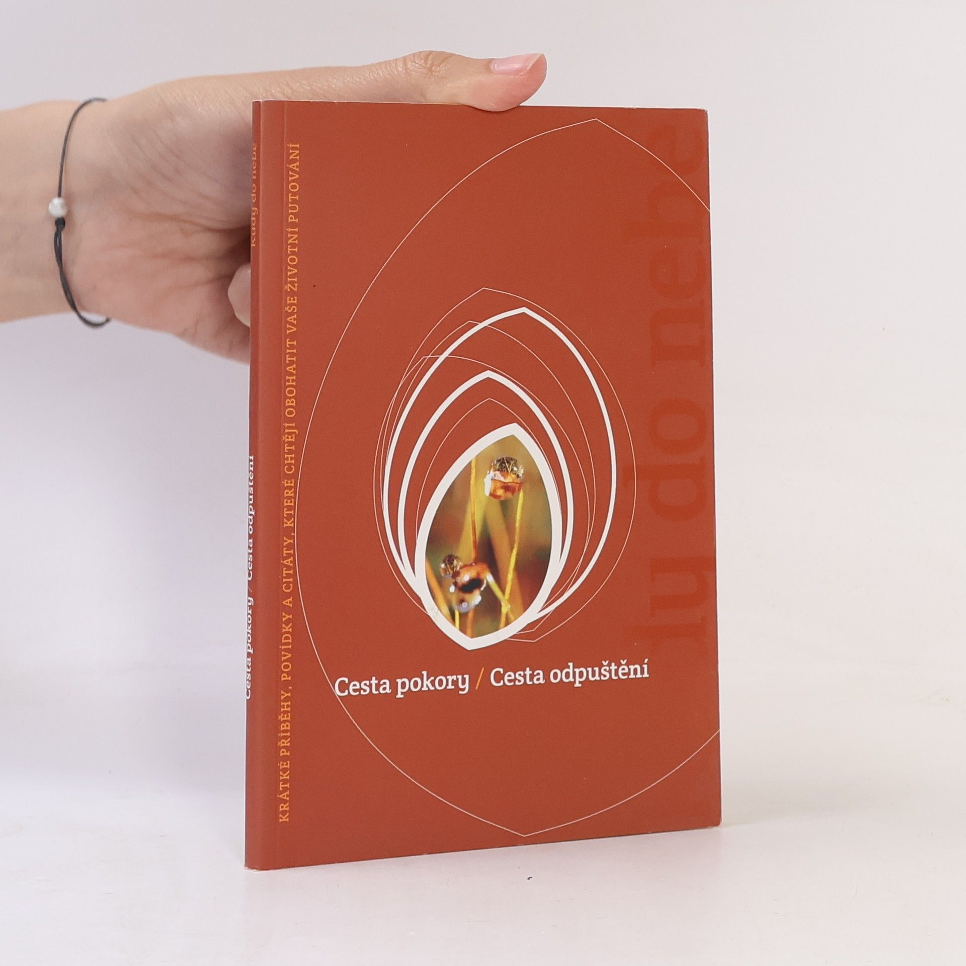 Michaela Hrachovcová Cesta pokory / Cesta odpuštění