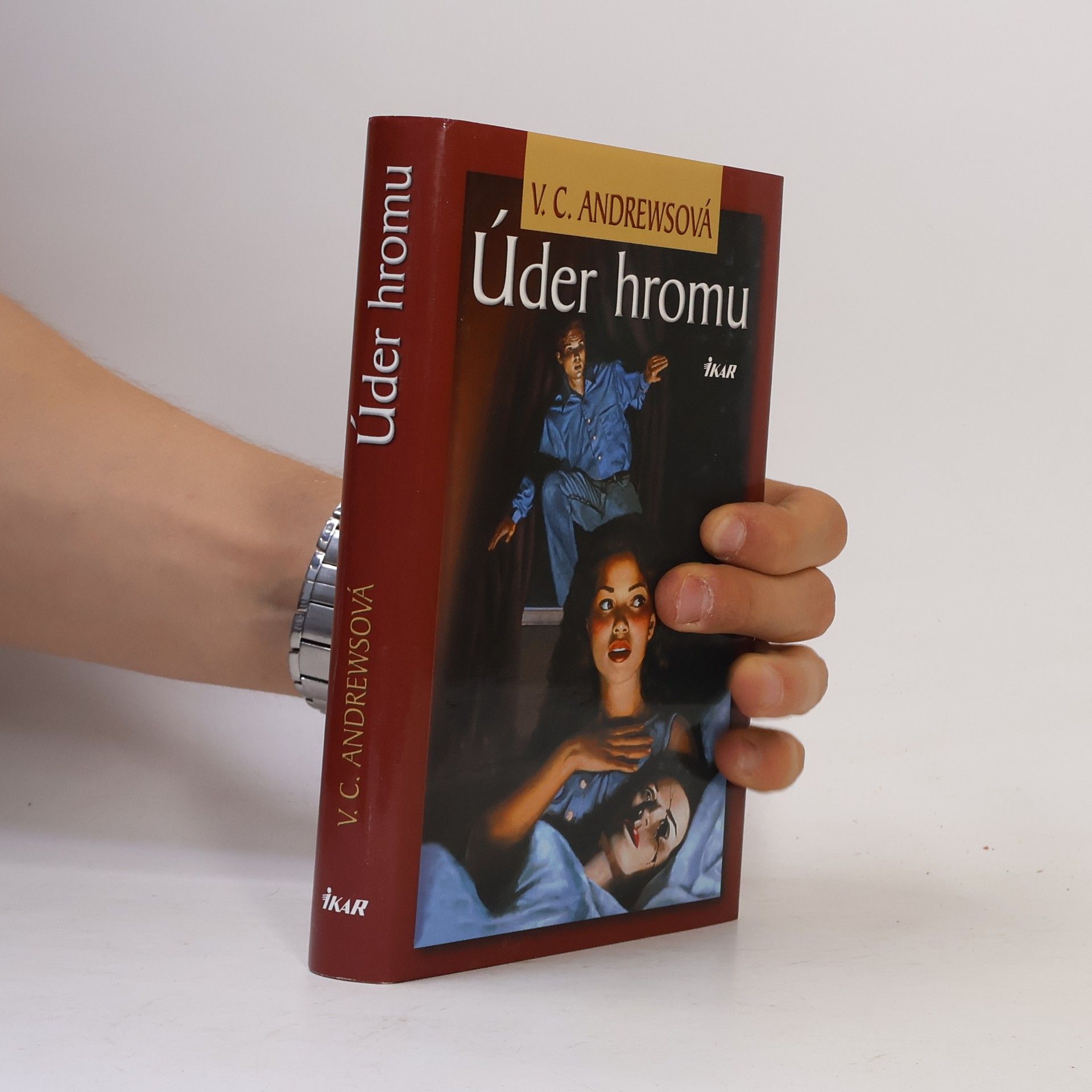 V. C. Andrews Úder hromu