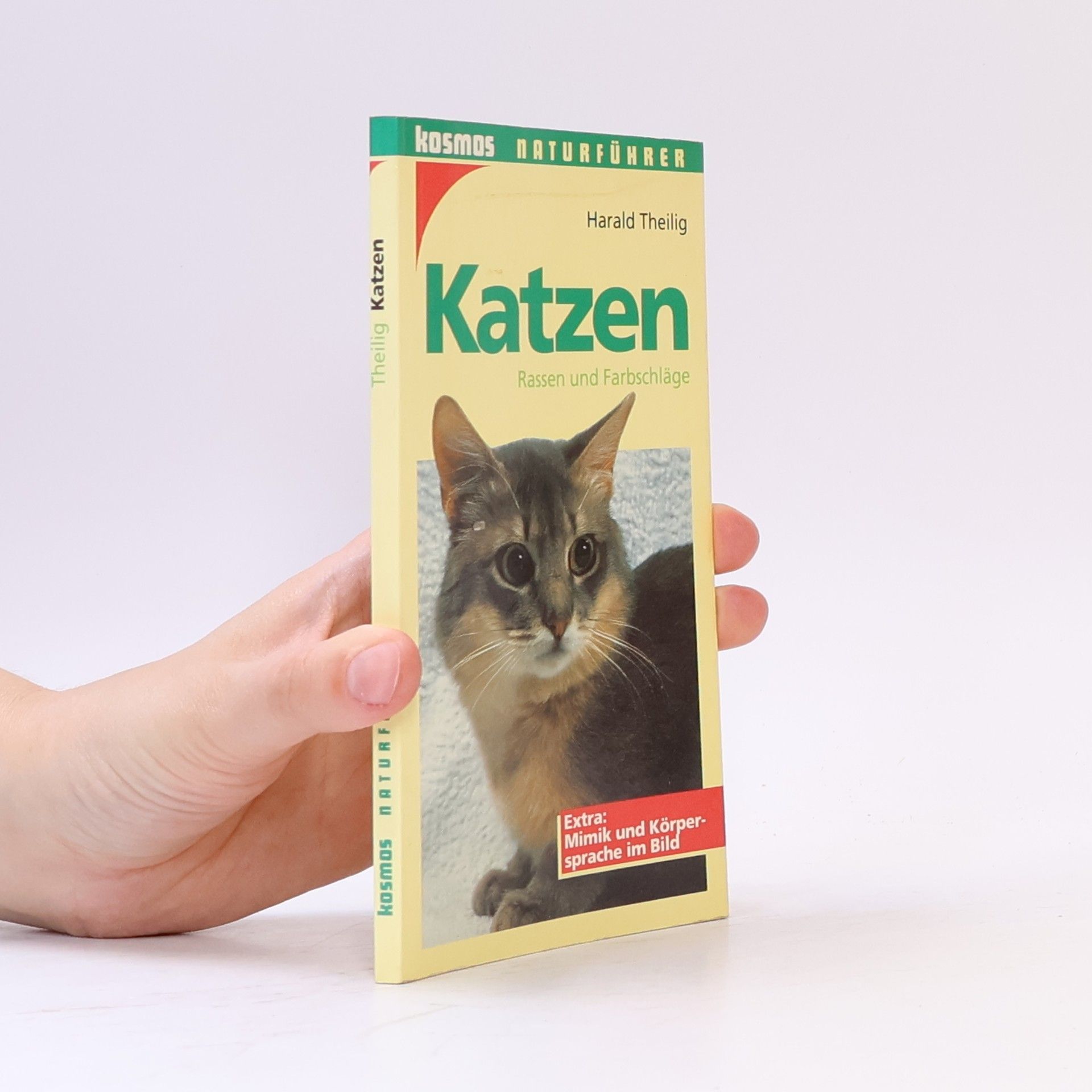 Harald Theilig Katzen