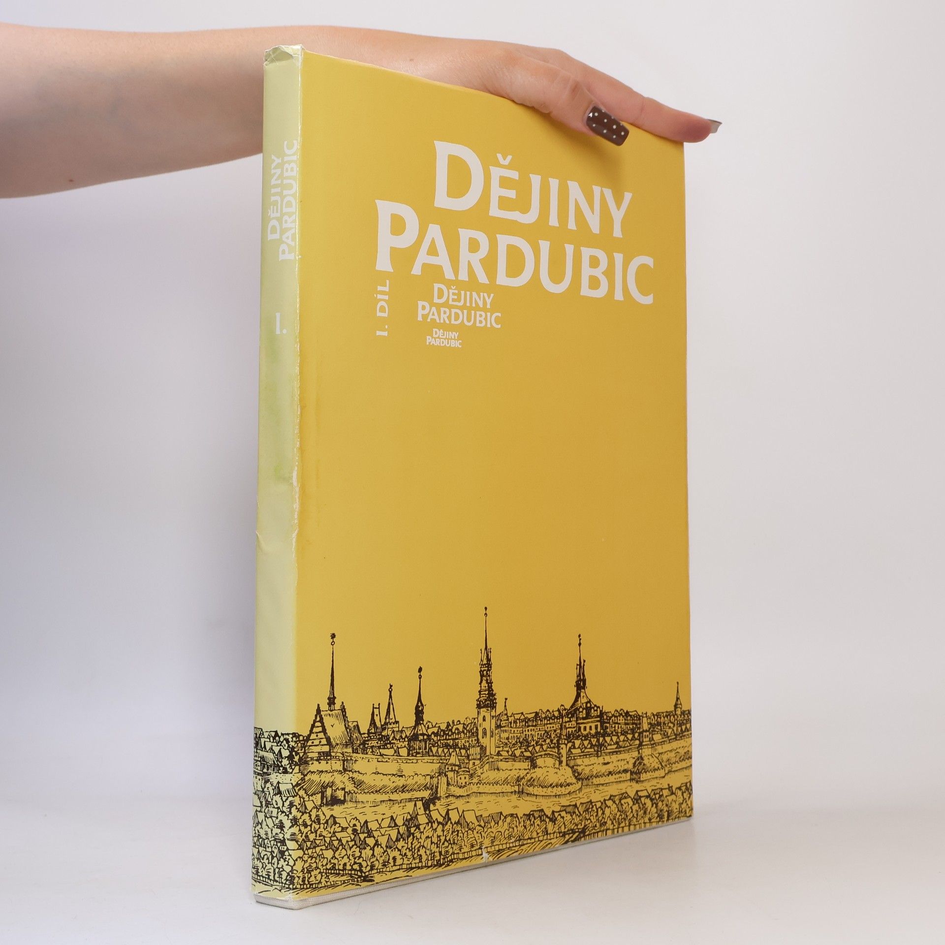 František Šebek Dějiny Pardubic. I. díl