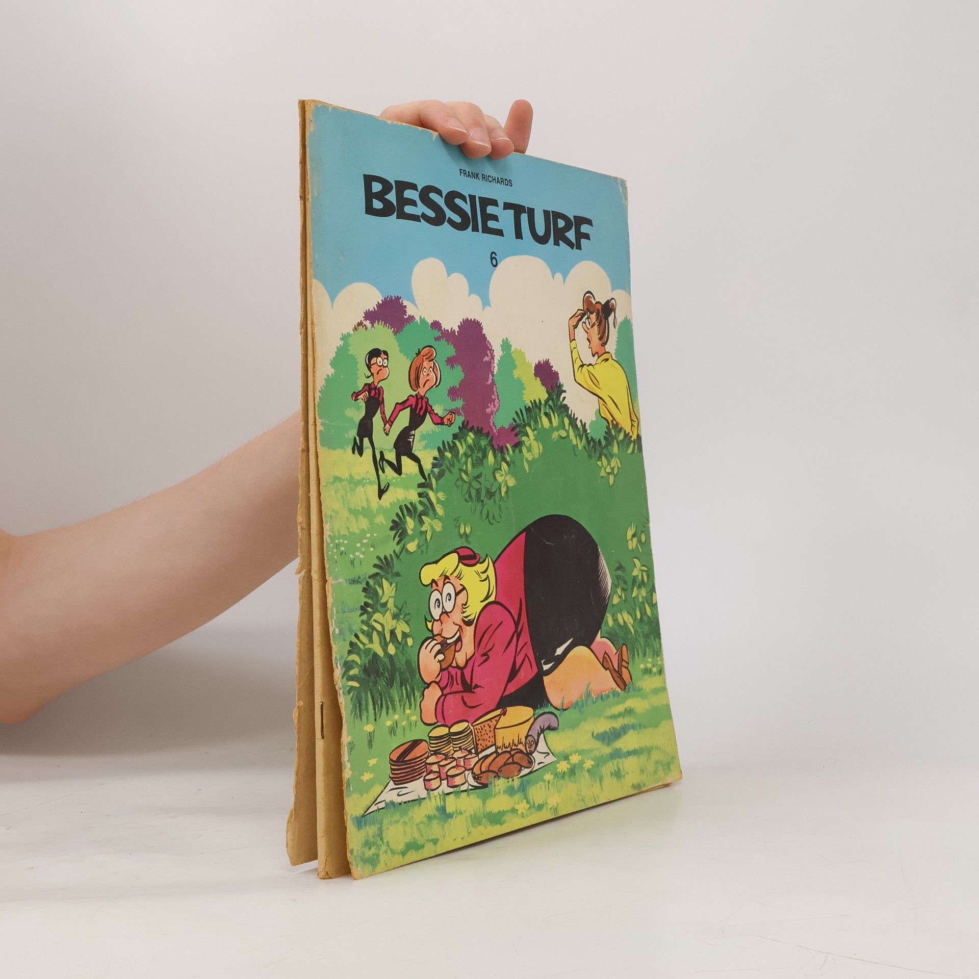 Autorenkollektiv Bessie Turf 6