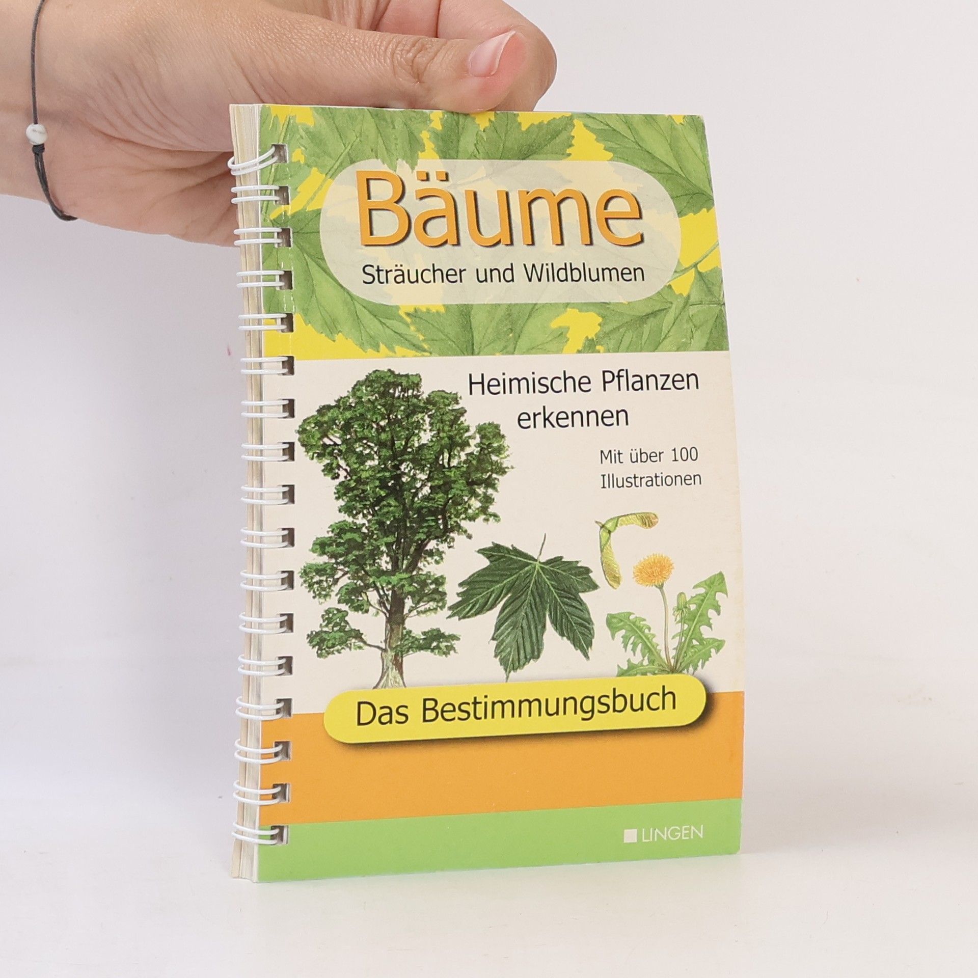 Autorenkollektiv Bäume. Sträucher und Wildblumen