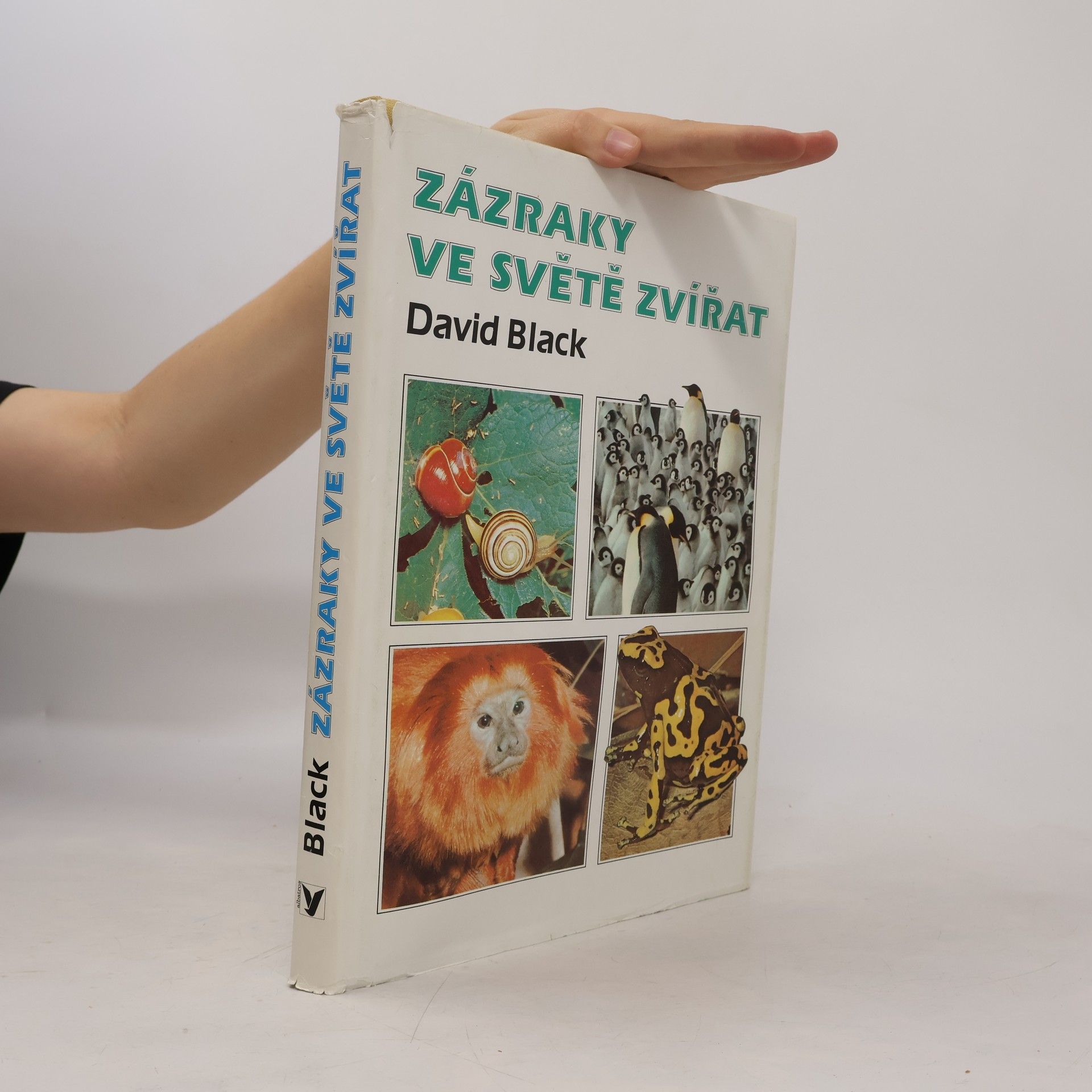 David Black Zázraky ve světě zvířat