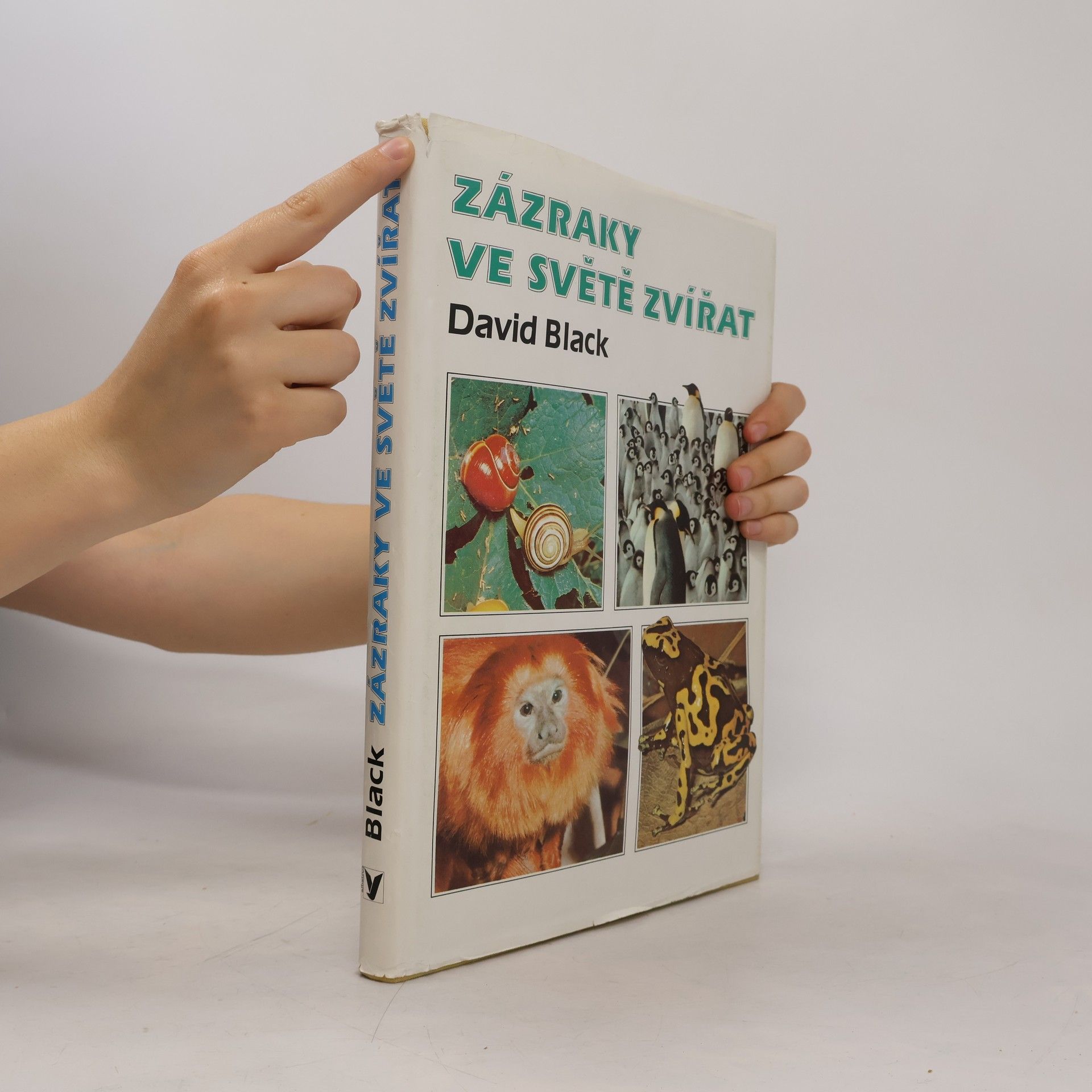 David Black Zázraky ve světě zvířat