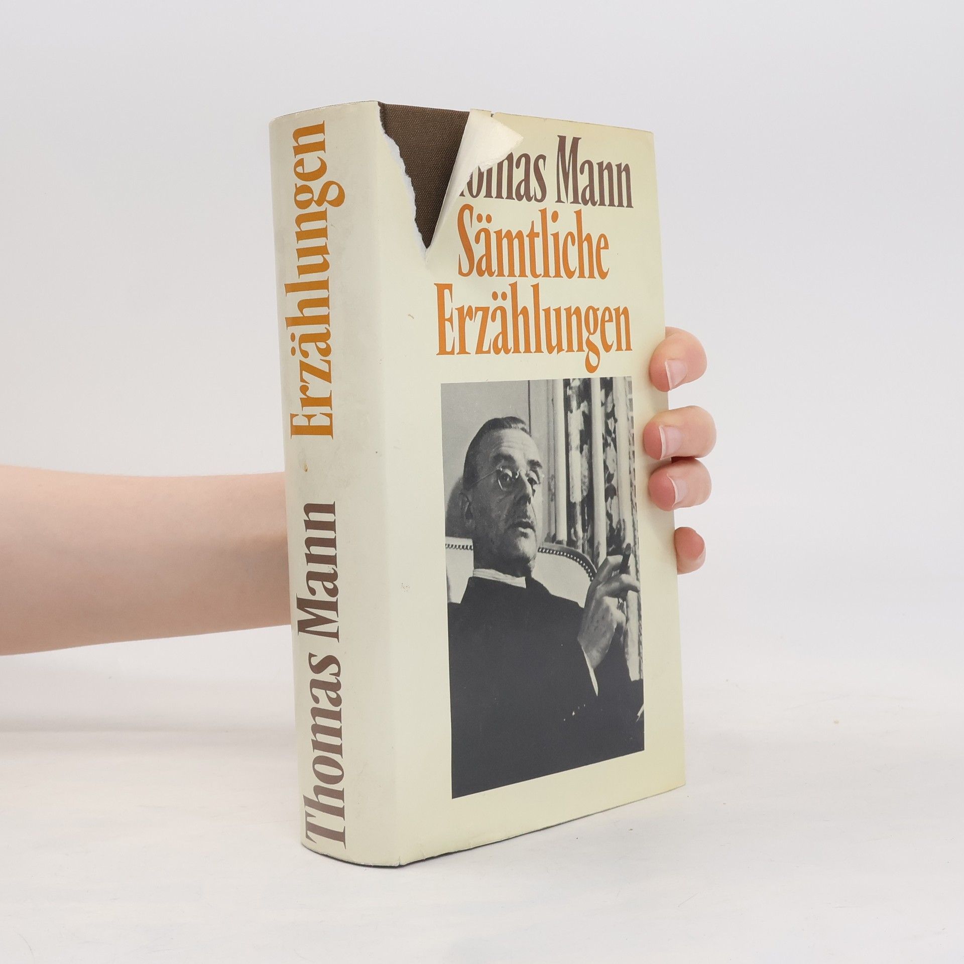 Thomas Mann Sämtliche Erzählungen