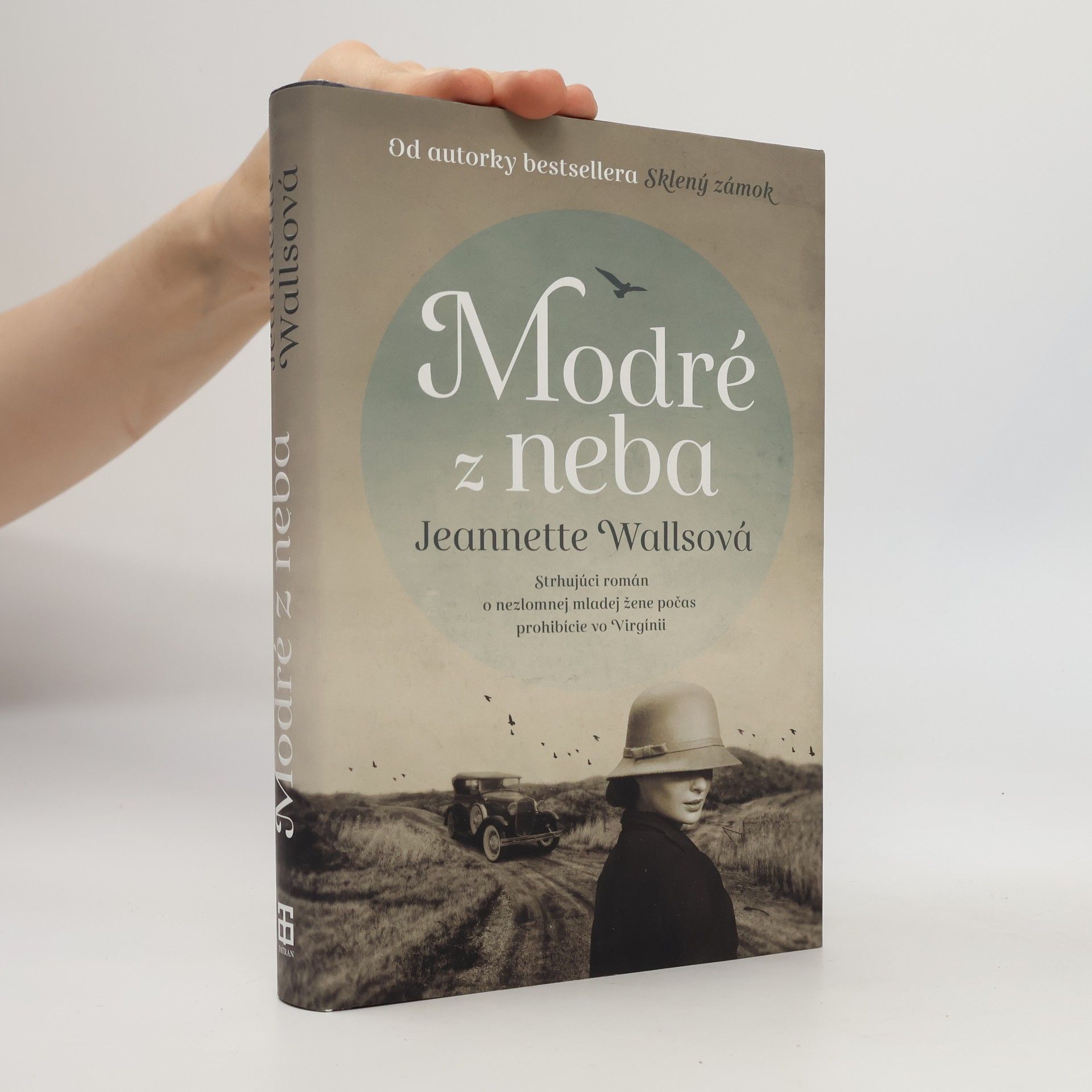 Jeannette Walls Modré z neba