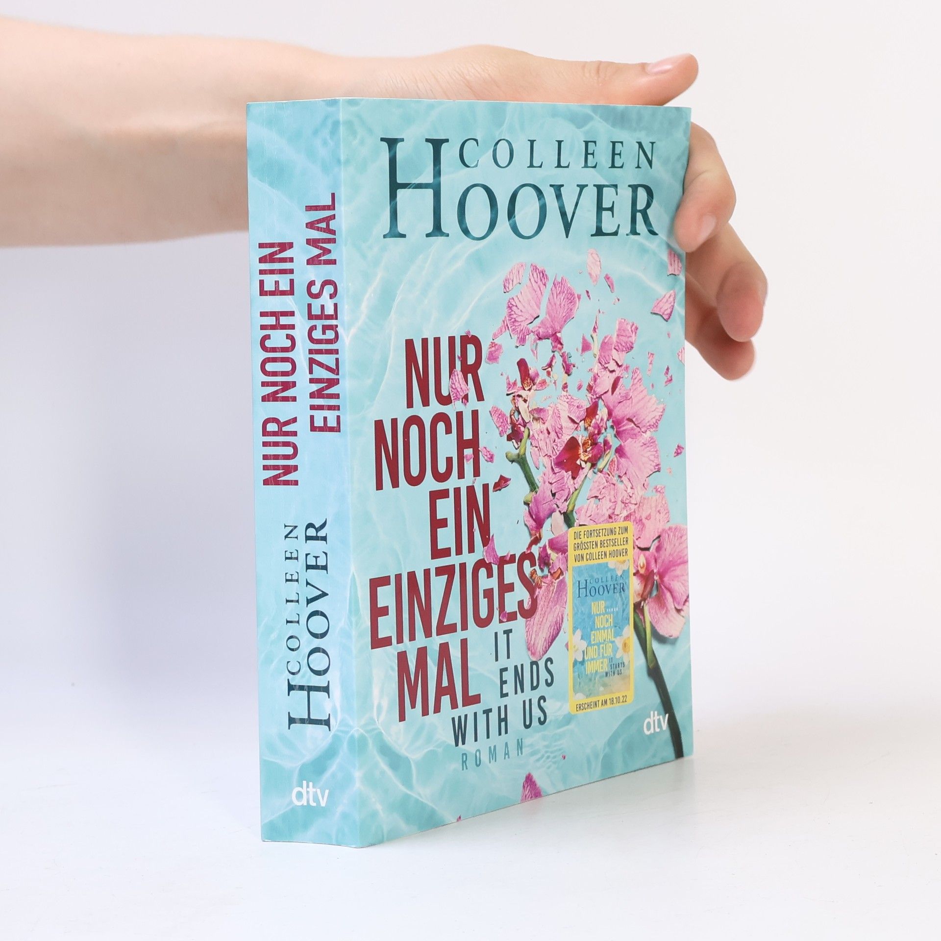 Colleen Hoover Nur noch ein einziges Mal