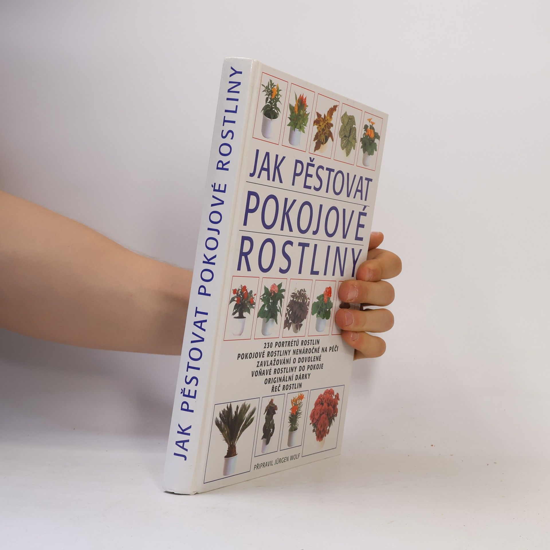 Jürgen Wolff Jak pěstovat pokojové rostliny
