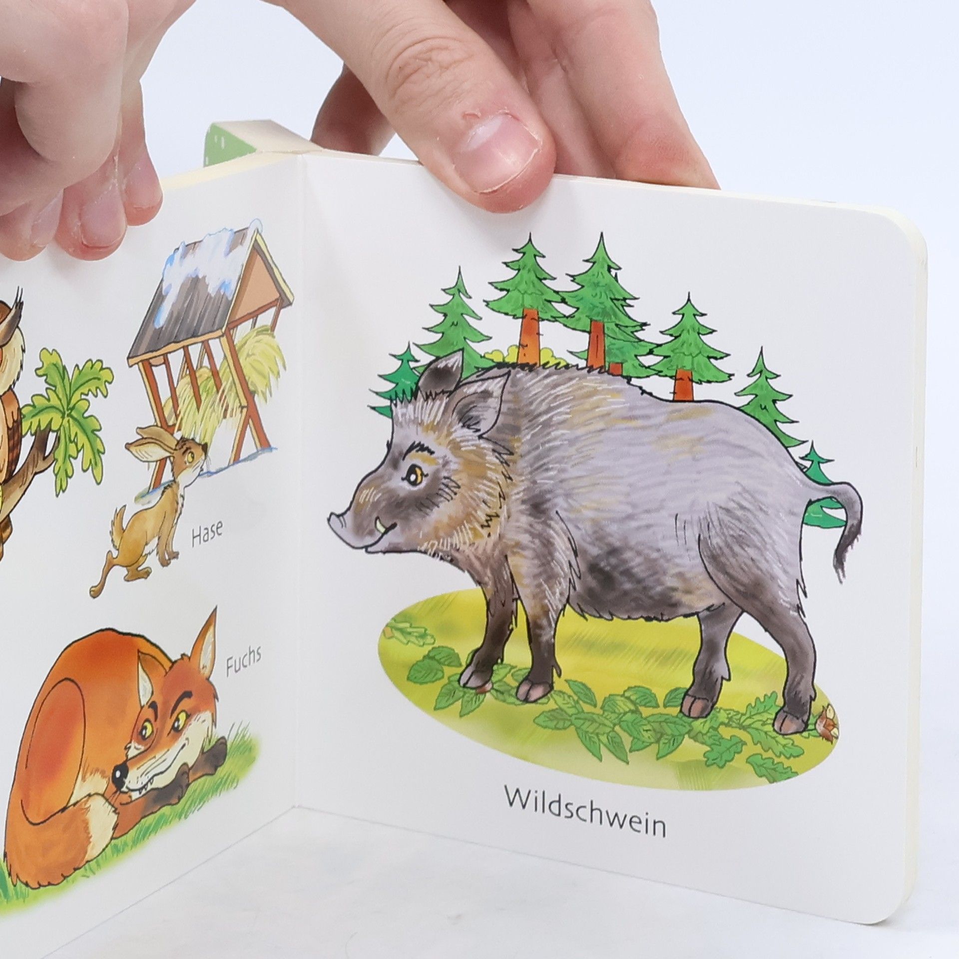 Kolektiv autorů Die kunterbunte welt der Tiere