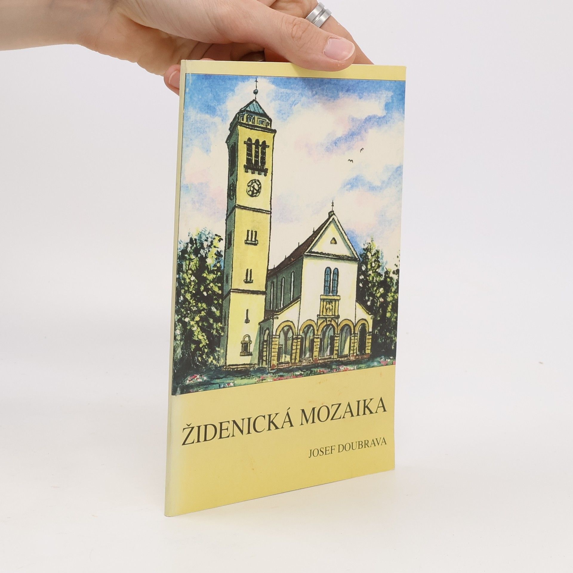 Dominik Josef Doubrava Židenická mozaika