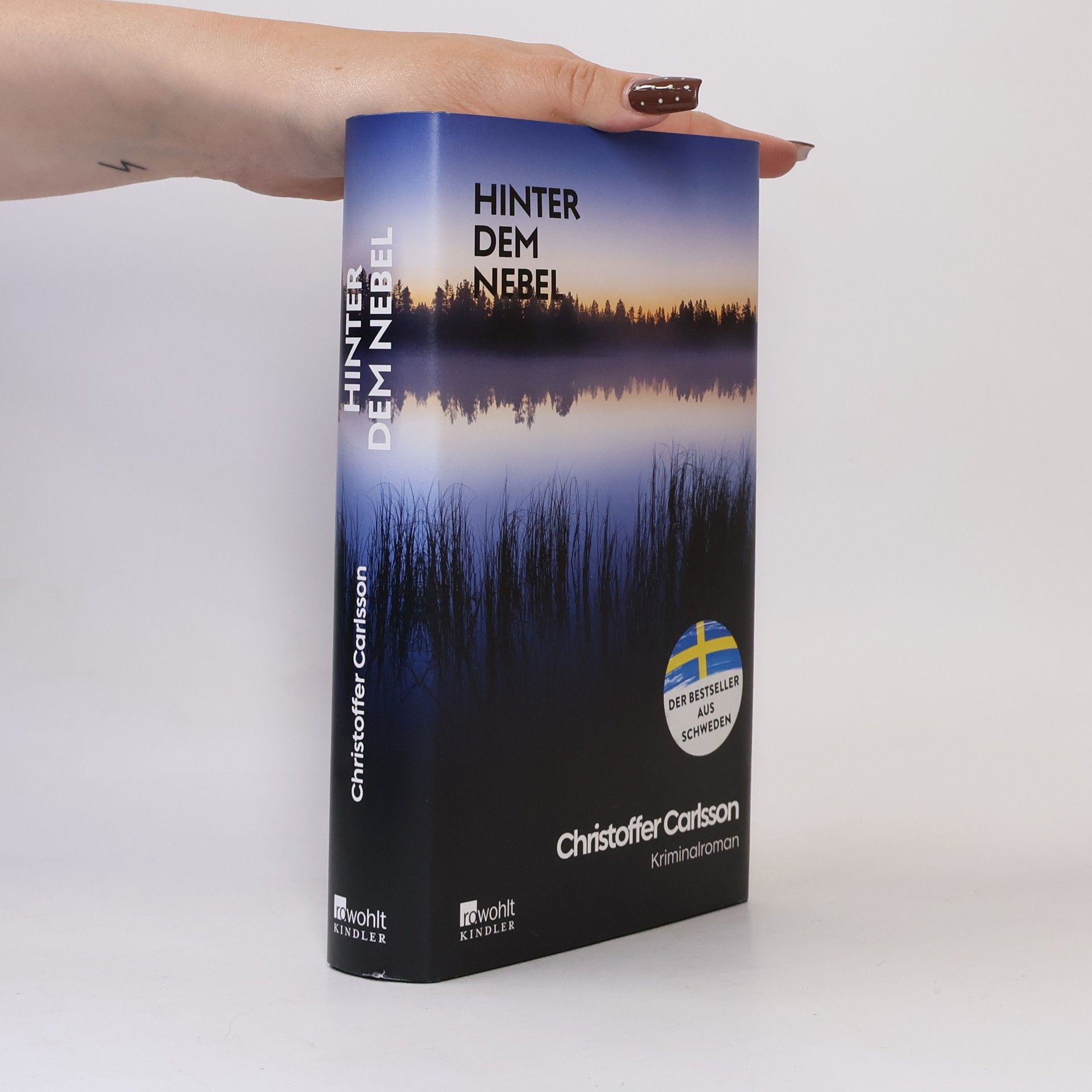 Die Halland-Krimis - 4: Hinter dem Nebel