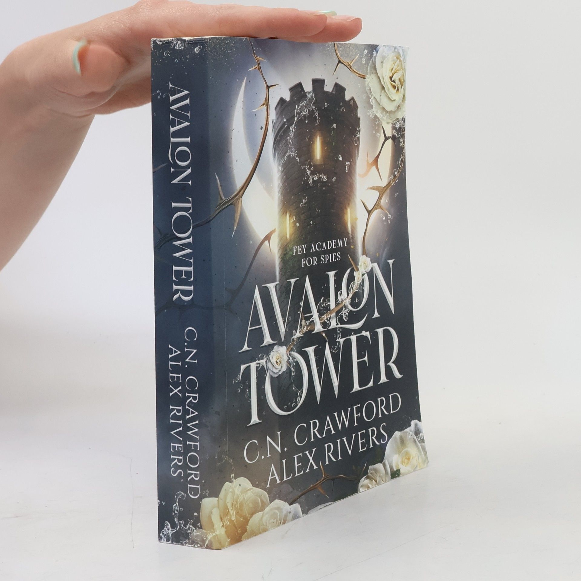 Alex Rivers Avalon Tower
