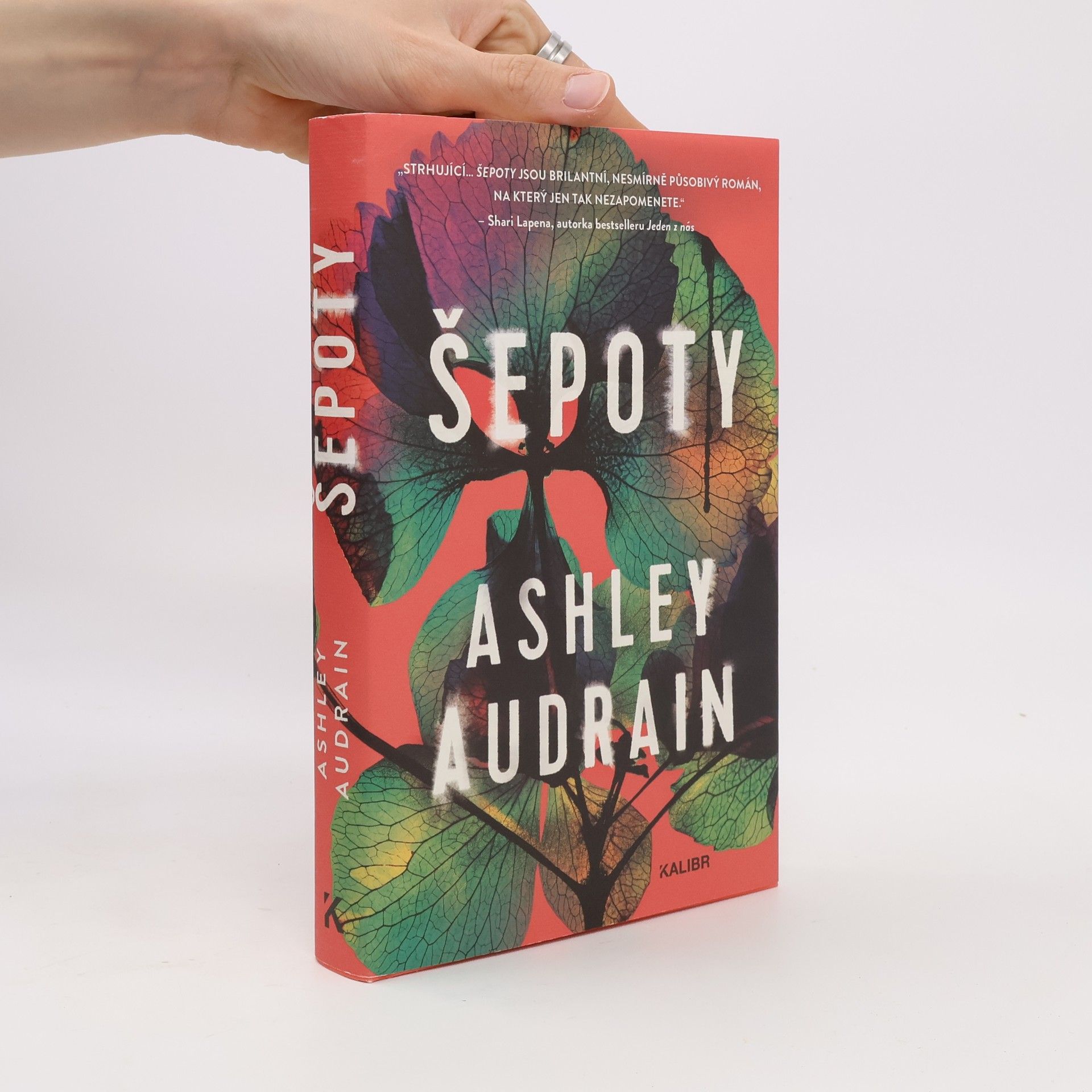 Šepoty