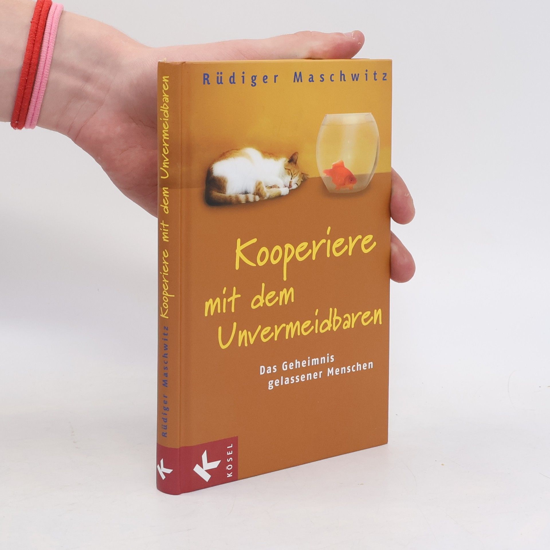 Rüdiger Maschwitz Kooperiere mit dem Unvermeidbaren