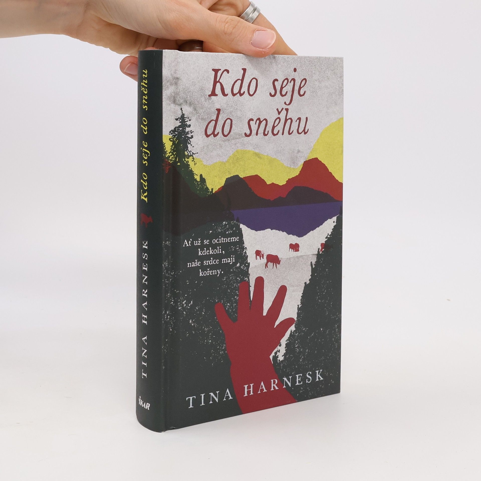 Harnes Tina Kdo seje do sněhu