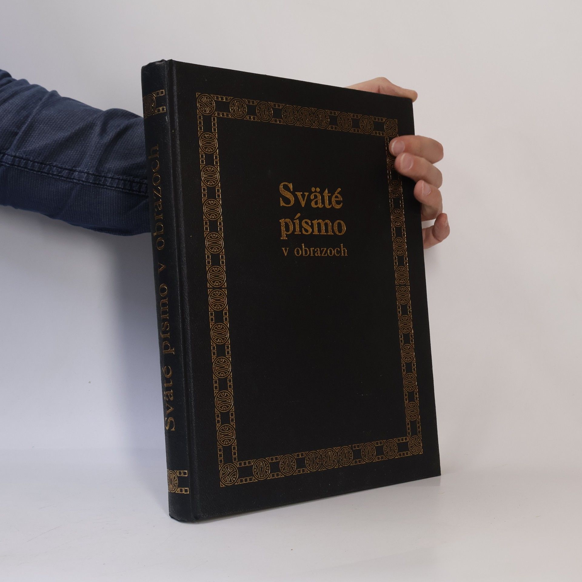 Kolektív autorov Sväté písmo v obrazoch