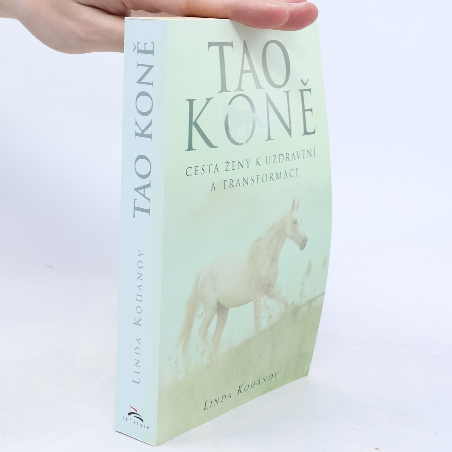Linda Kohanov Tao koně
