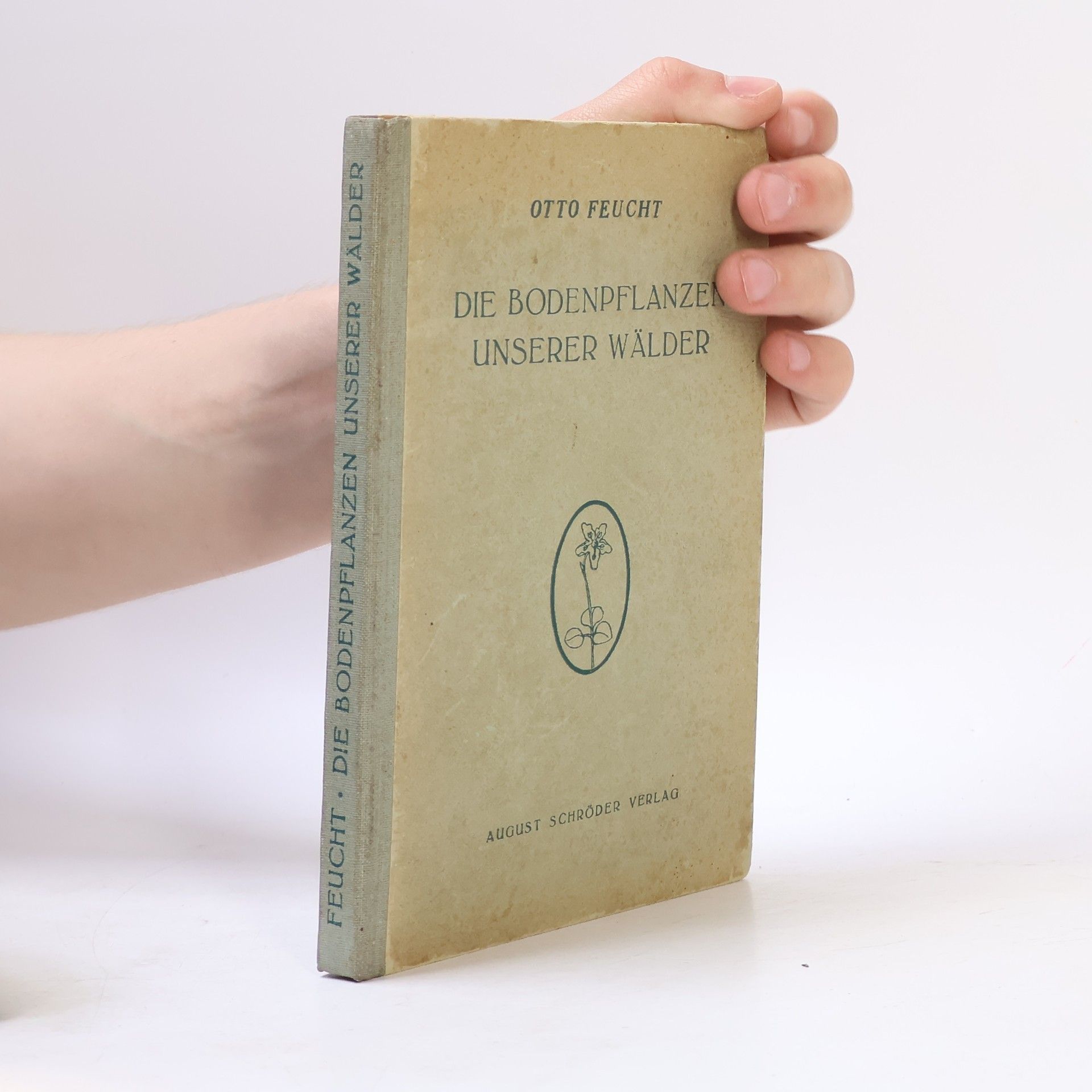 Otto Feucht Die Bäume und Sträucher unserer Wälder