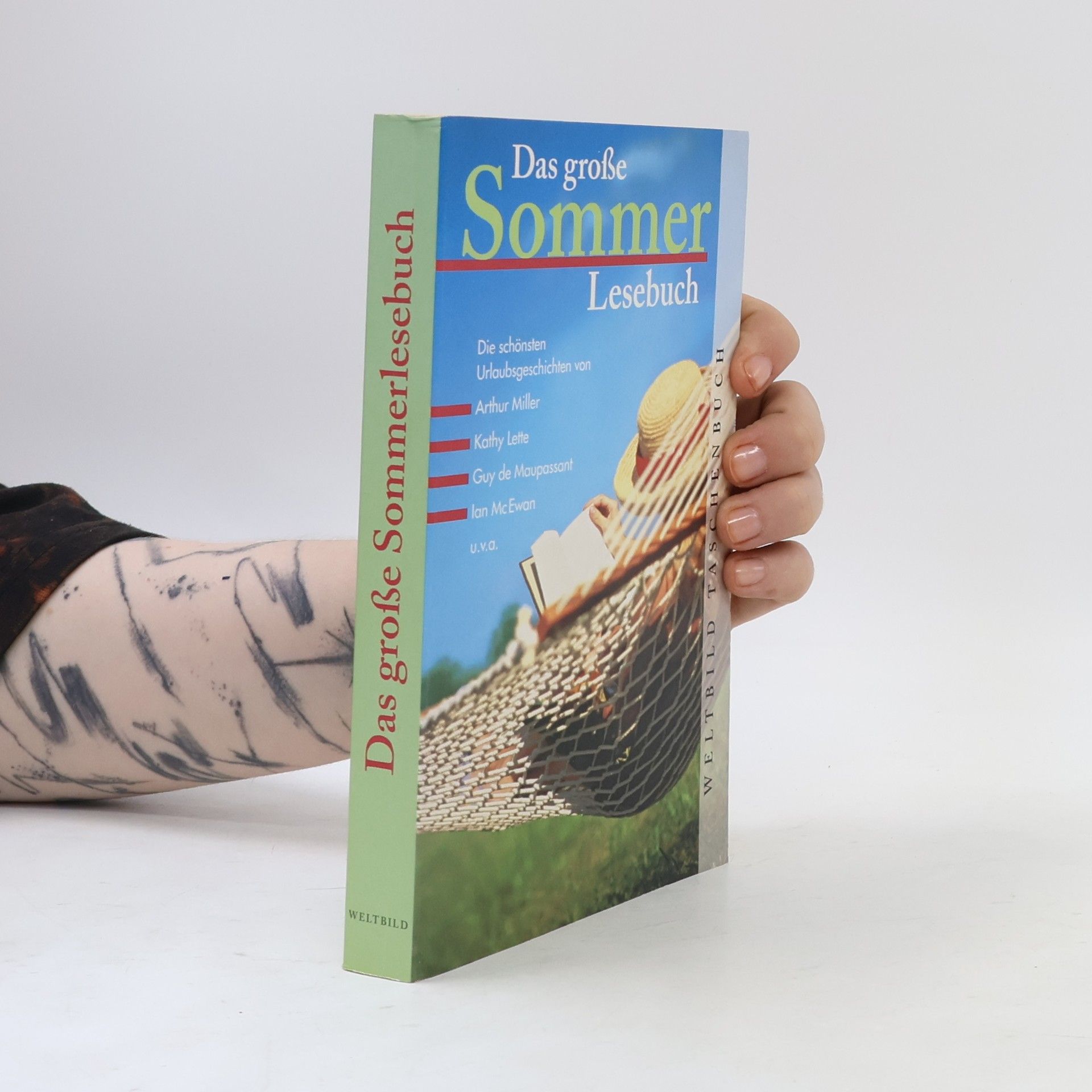 Das große Sommerlesebuch