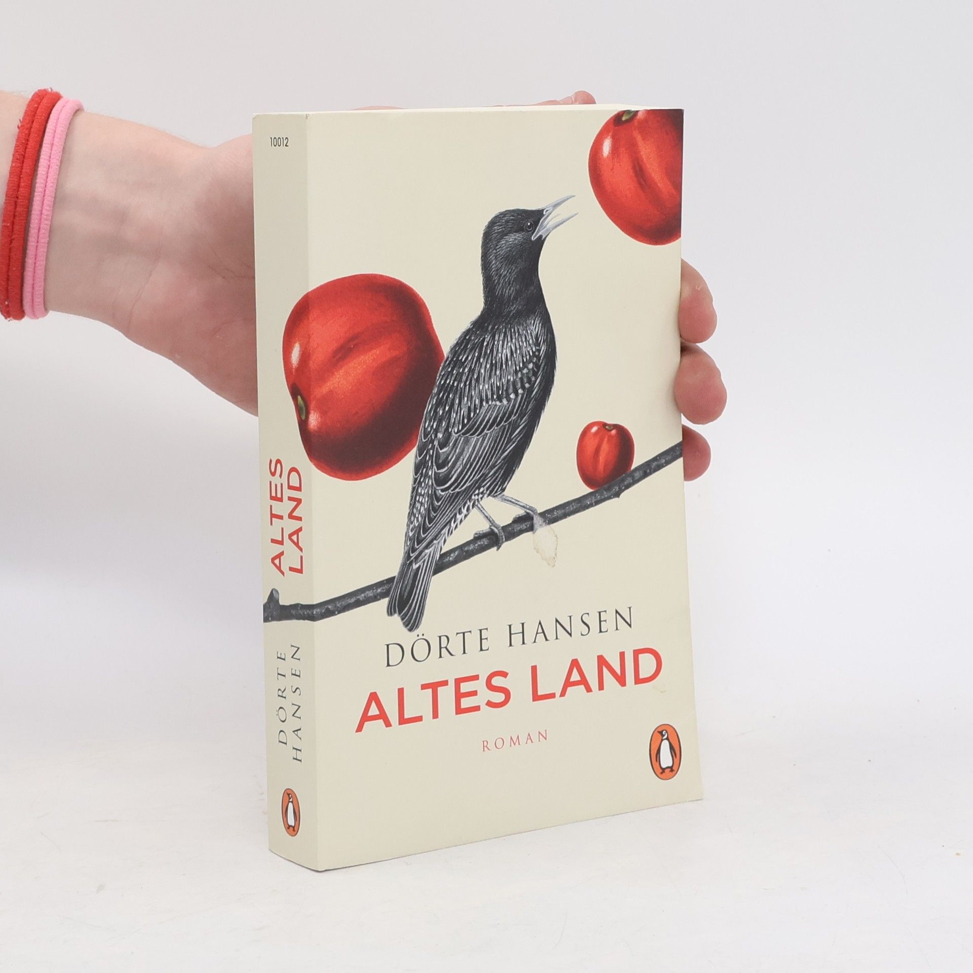 Dörte Hansen Altes Land