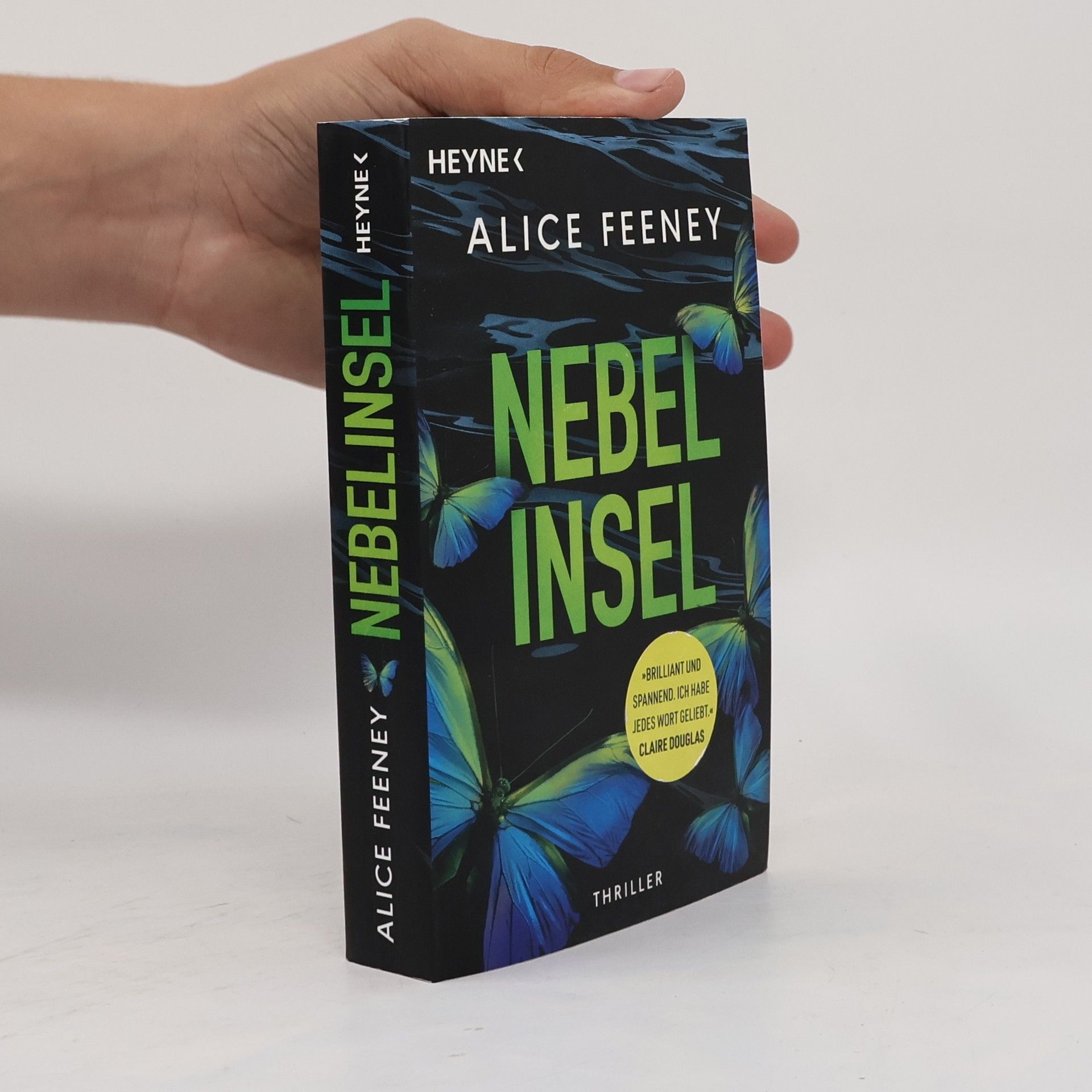 Anke Kreutzer Nebelinsel