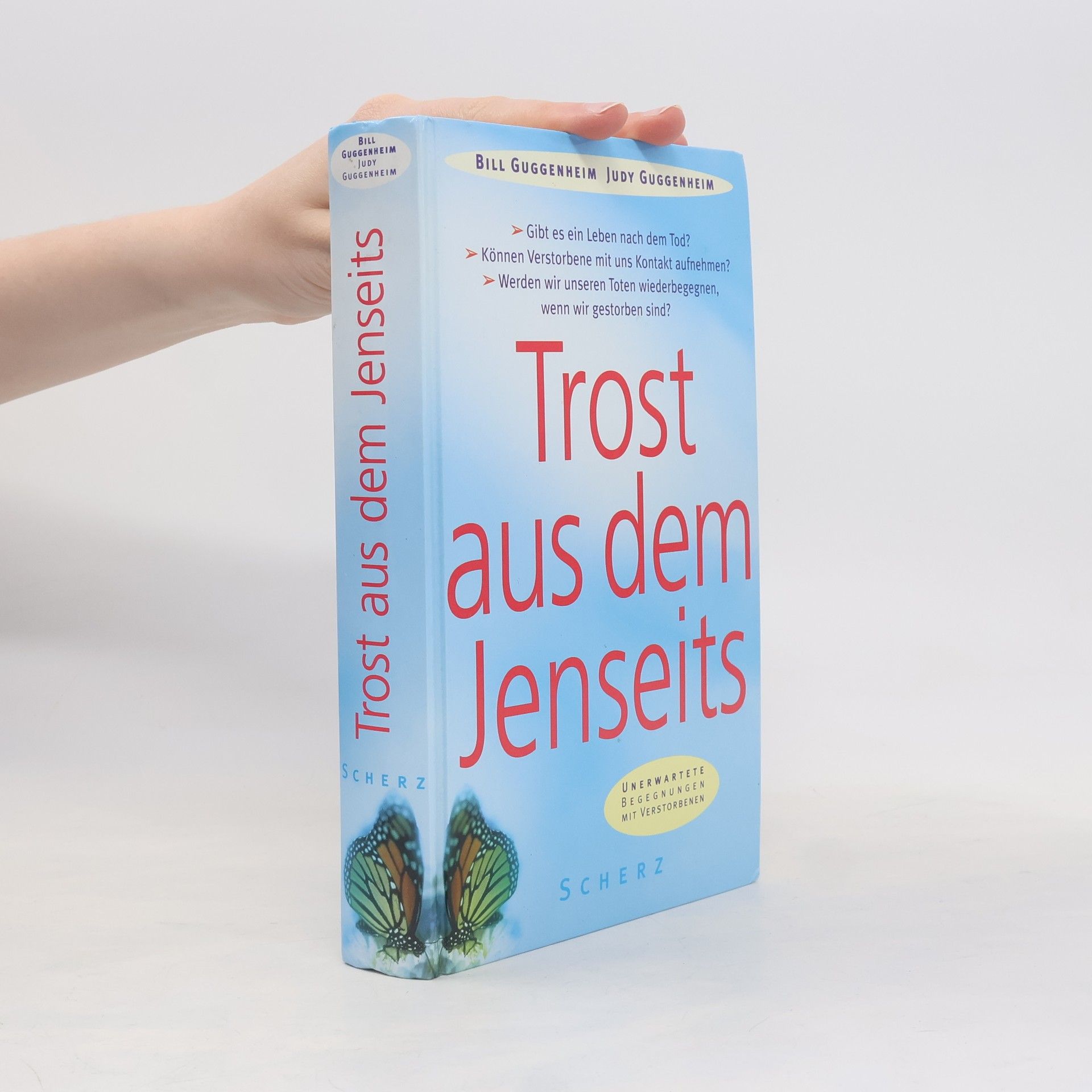 Bill Guggenheim Trost aus dem Jenseits