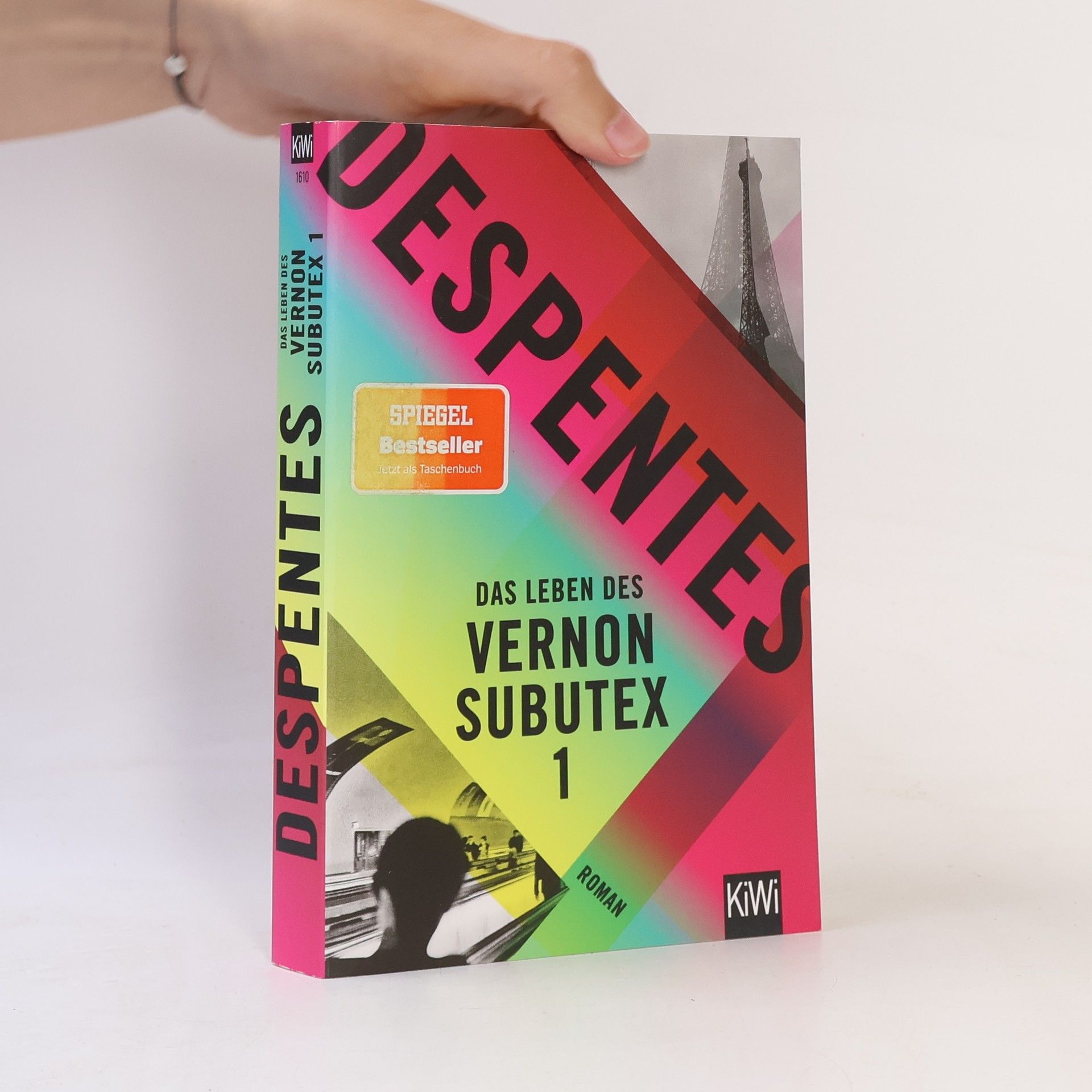 Virginie Despentes Das Leben des Vernon Subutex 1